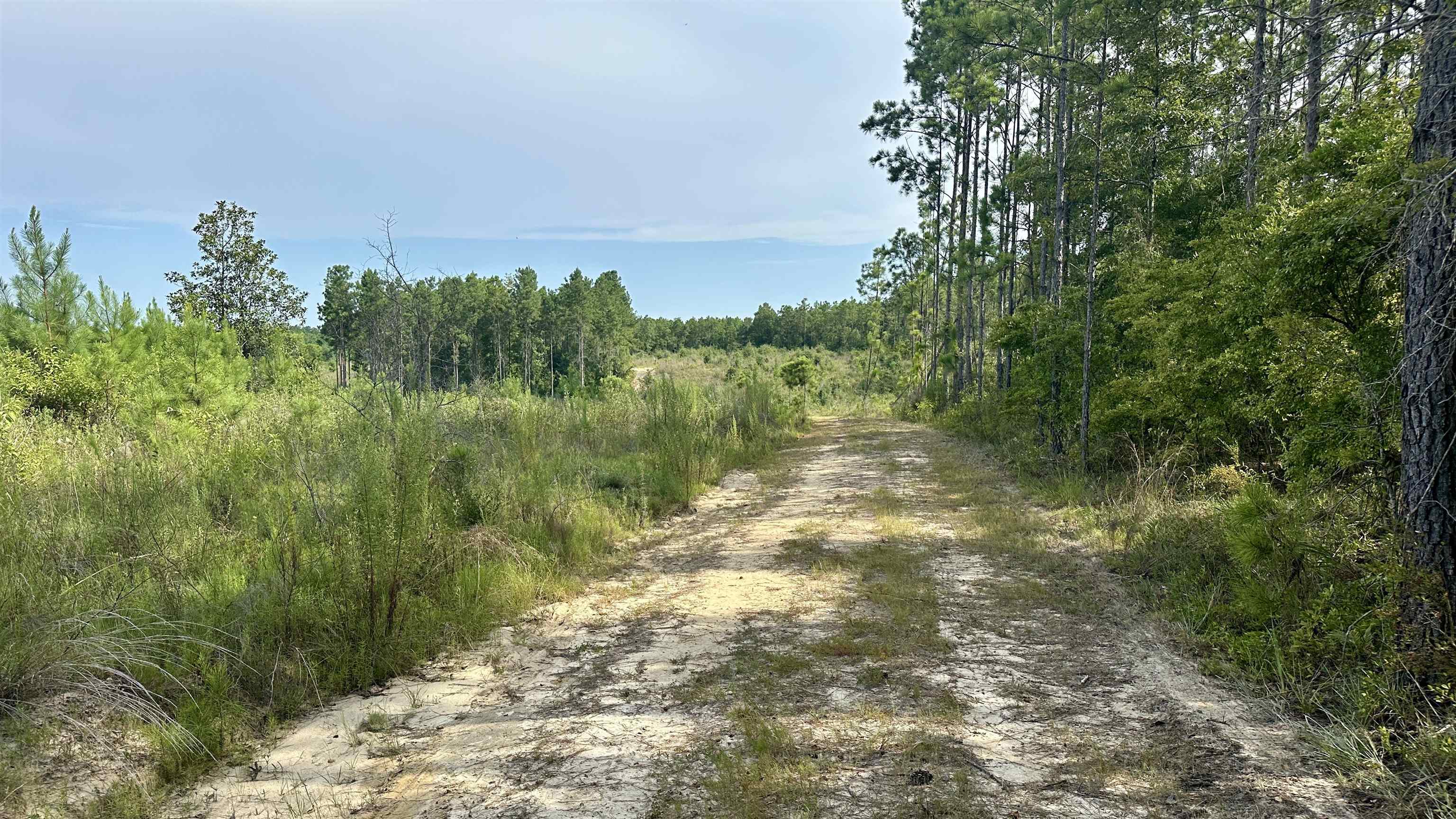 Hardaway Highway, CHATTAHOOCHEE, Florida image 12