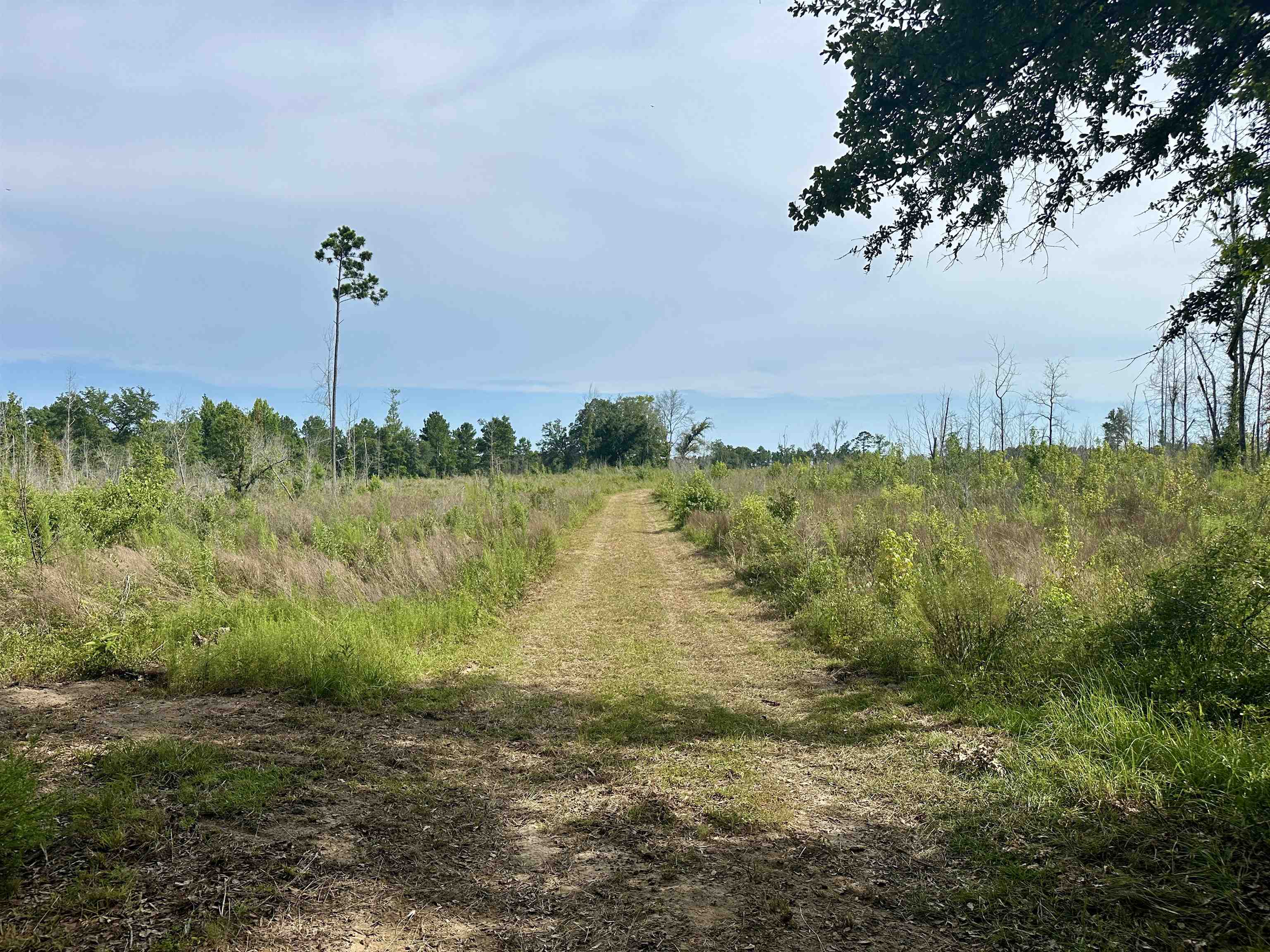 Hardaway Highway, CHATTAHOOCHEE, Florida image 13