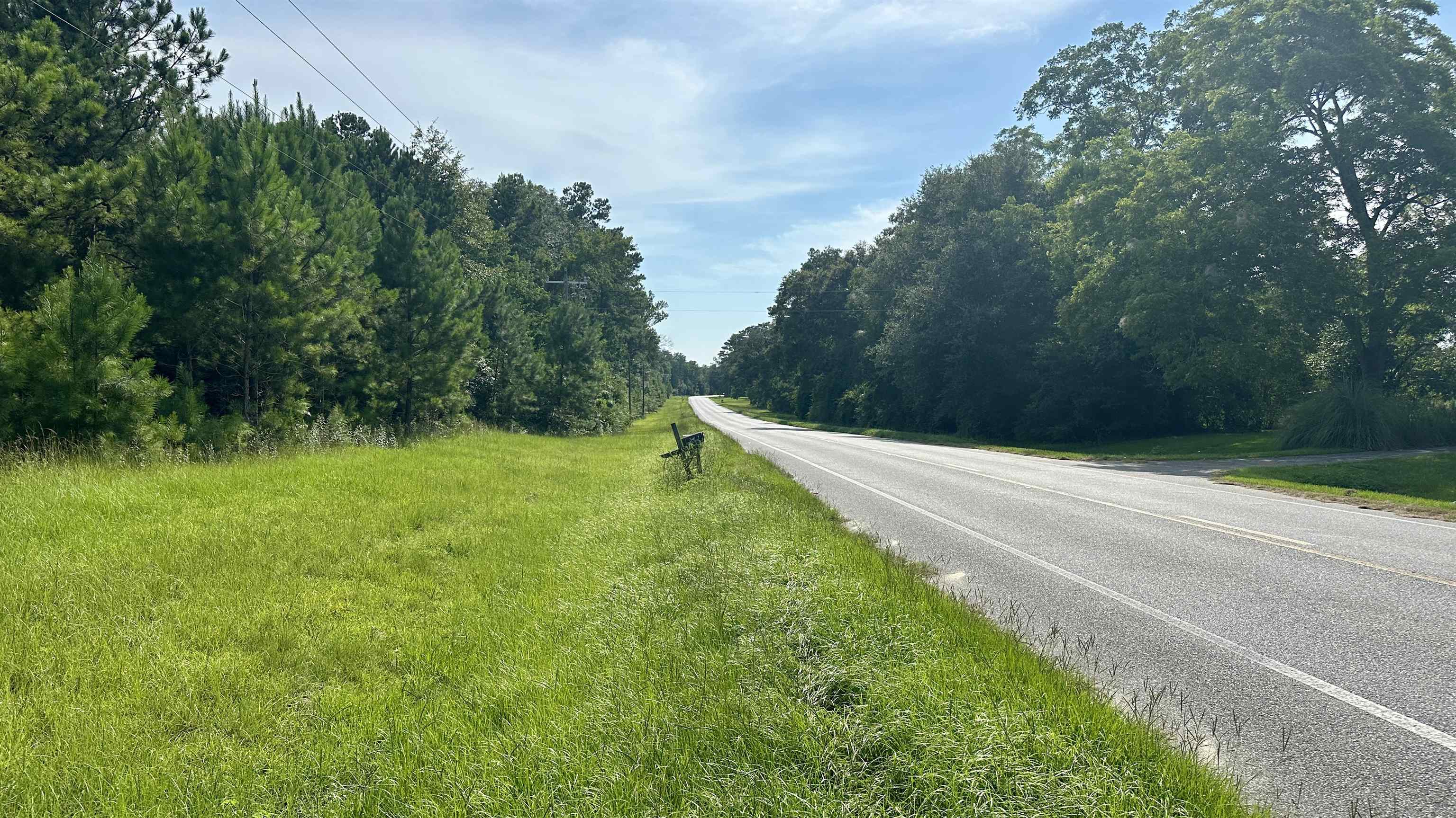 Hardaway Highway, CHATTAHOOCHEE, Florida image 17