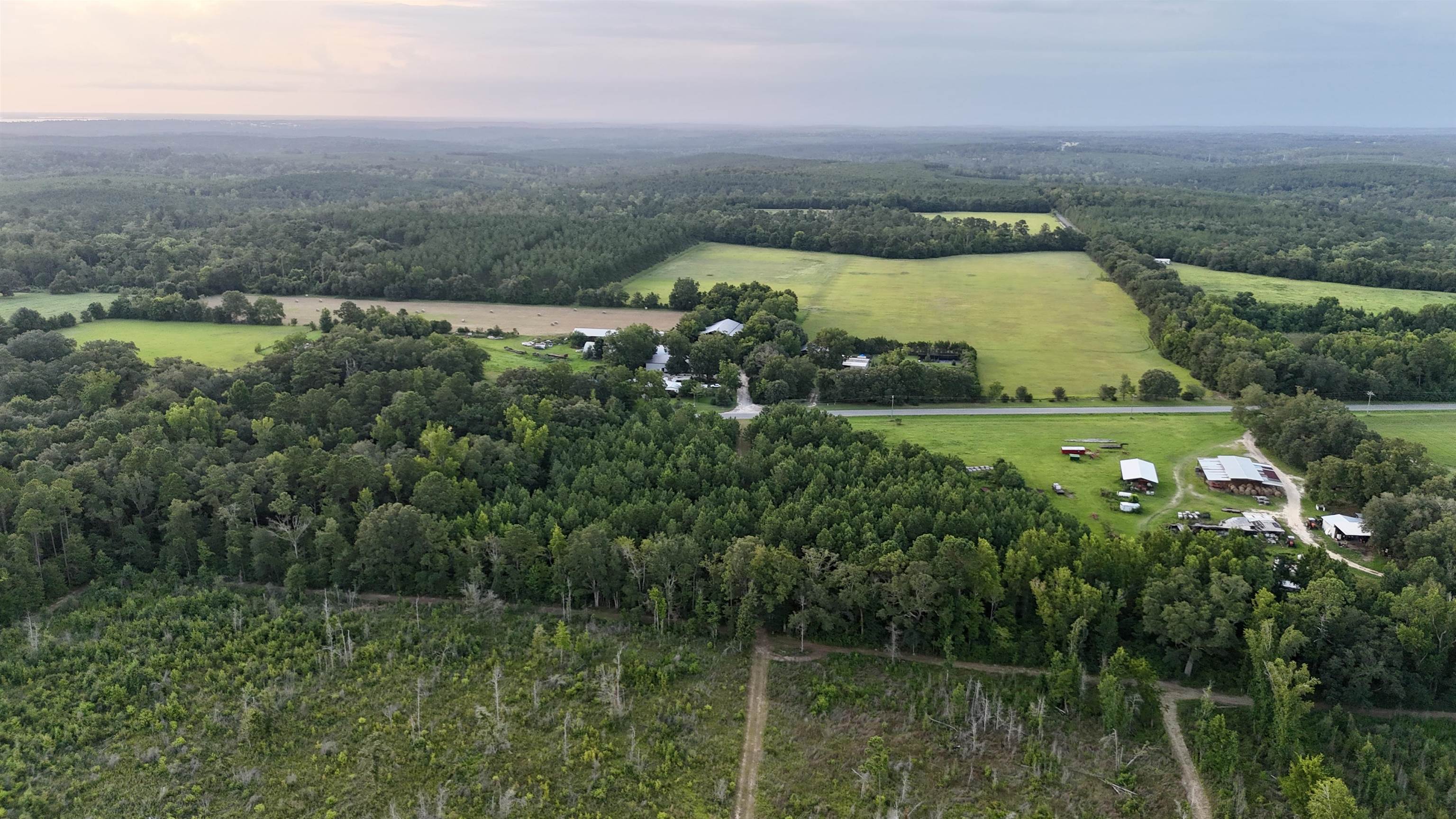 Hardaway Highway, CHATTAHOOCHEE, Florida image 18