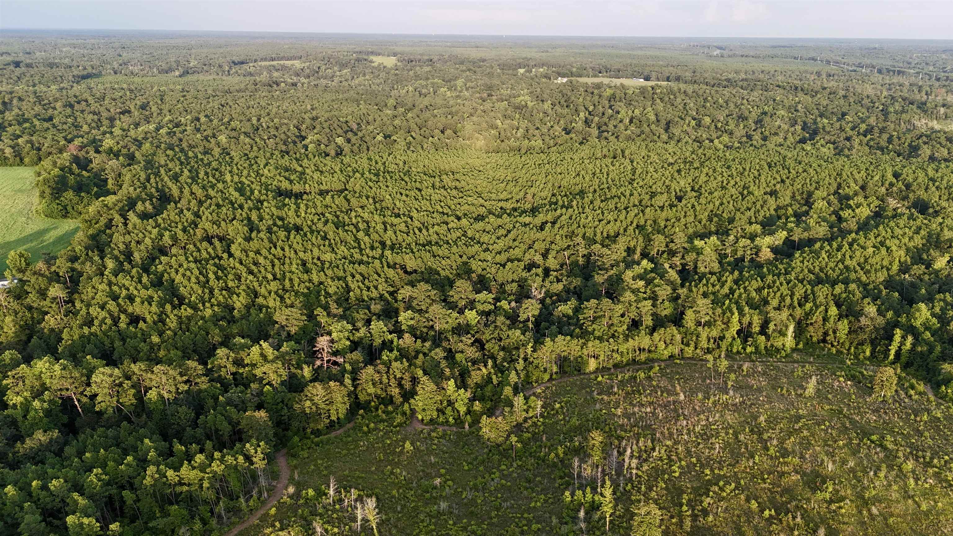 Hardaway Highway, CHATTAHOOCHEE, Florida image 19