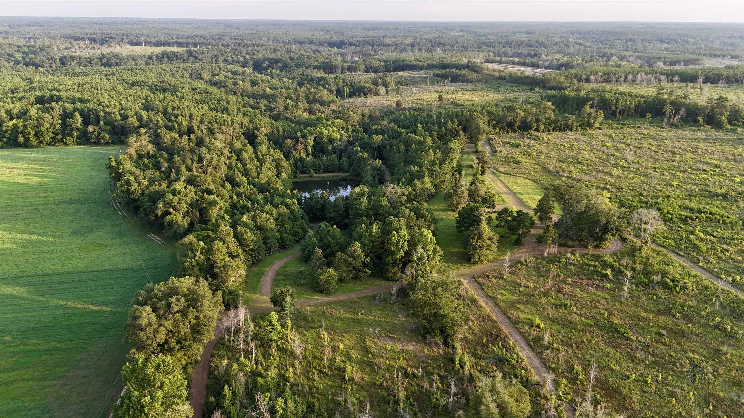 Hardaway Highway, CHATTAHOOCHEE, Florida image 28