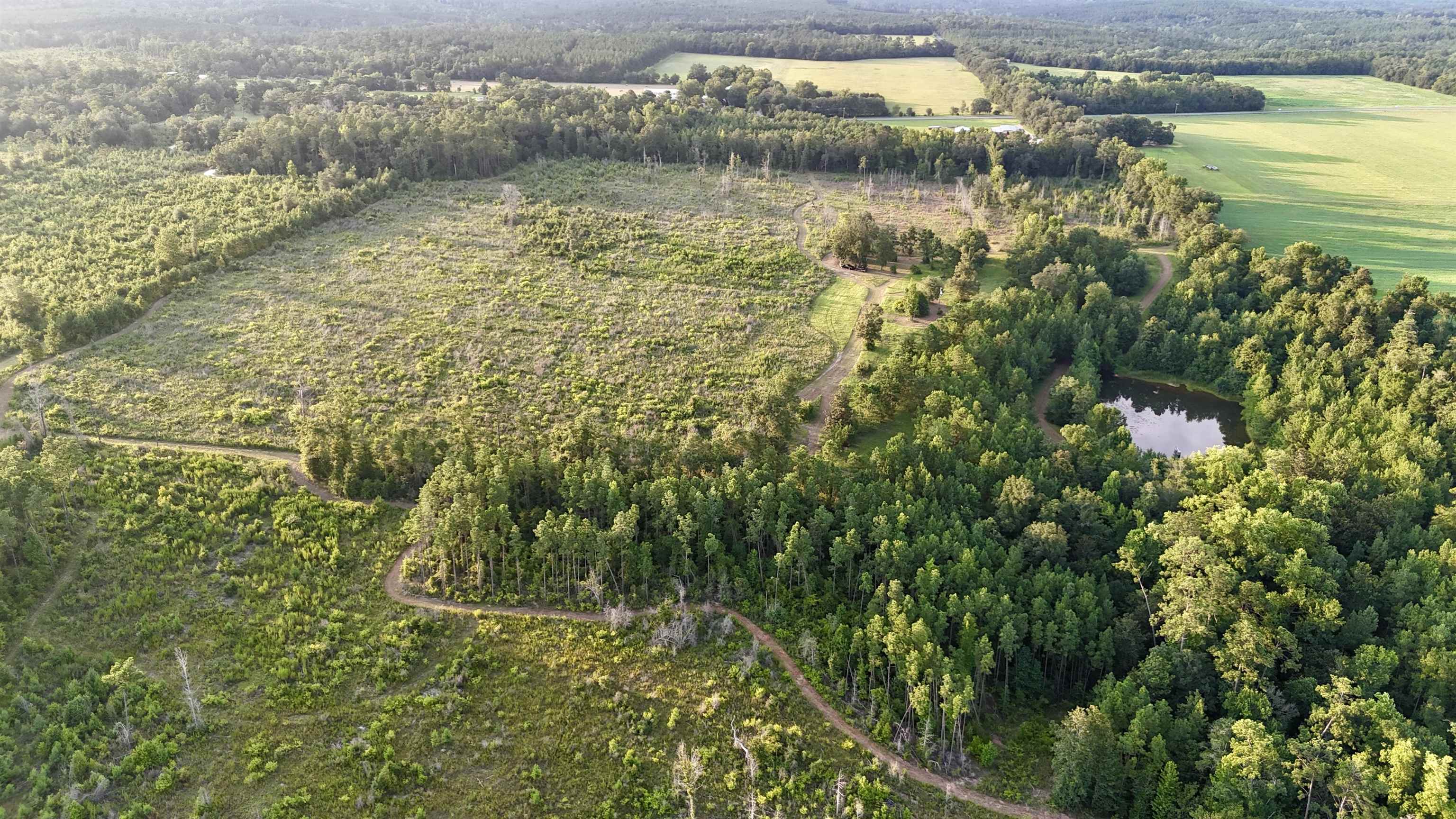 Hardaway Highway, CHATTAHOOCHEE, Florida image 30