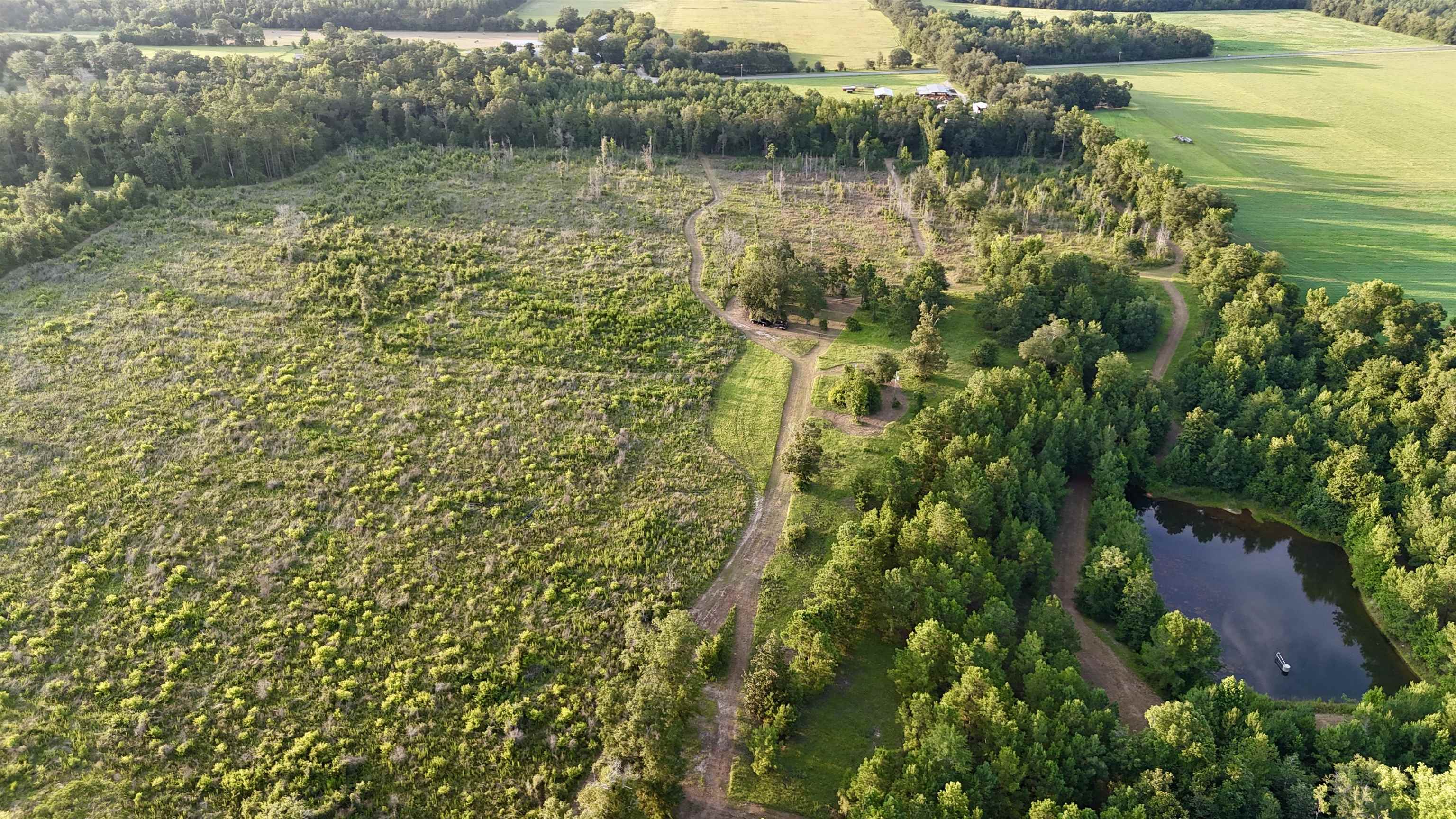 Hardaway Highway, CHATTAHOOCHEE, Florida image 31