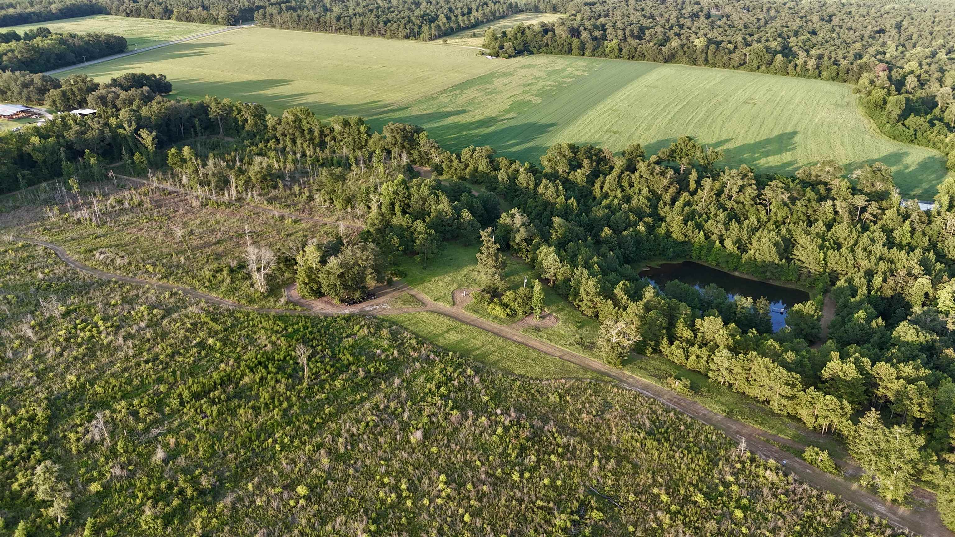 Hardaway Highway, CHATTAHOOCHEE, Florida image 32