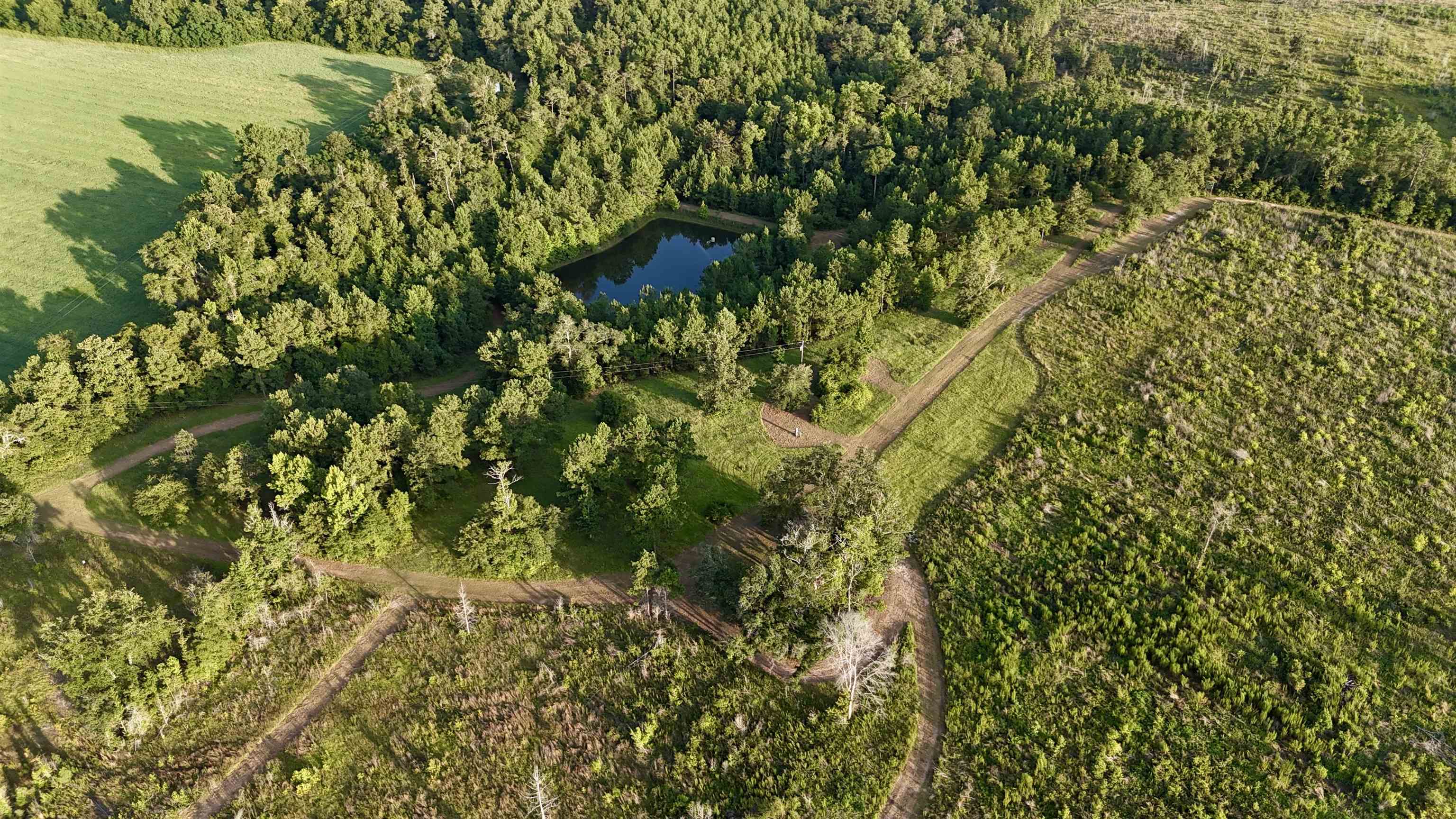 Hardaway Highway, CHATTAHOOCHEE, Florida image 4