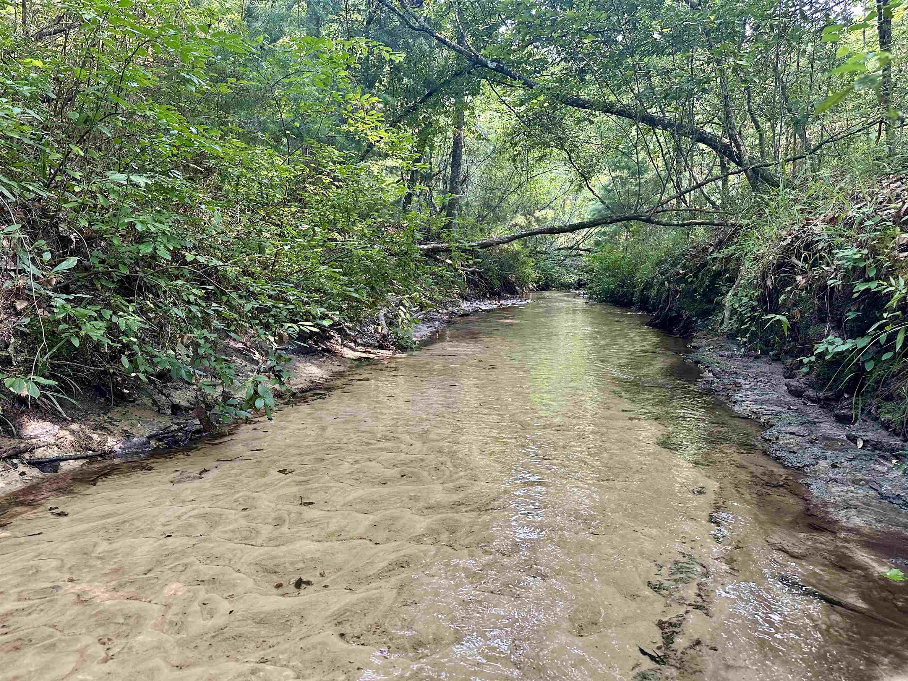 Hardaway Highway, CHATTAHOOCHEE, Florida image 8