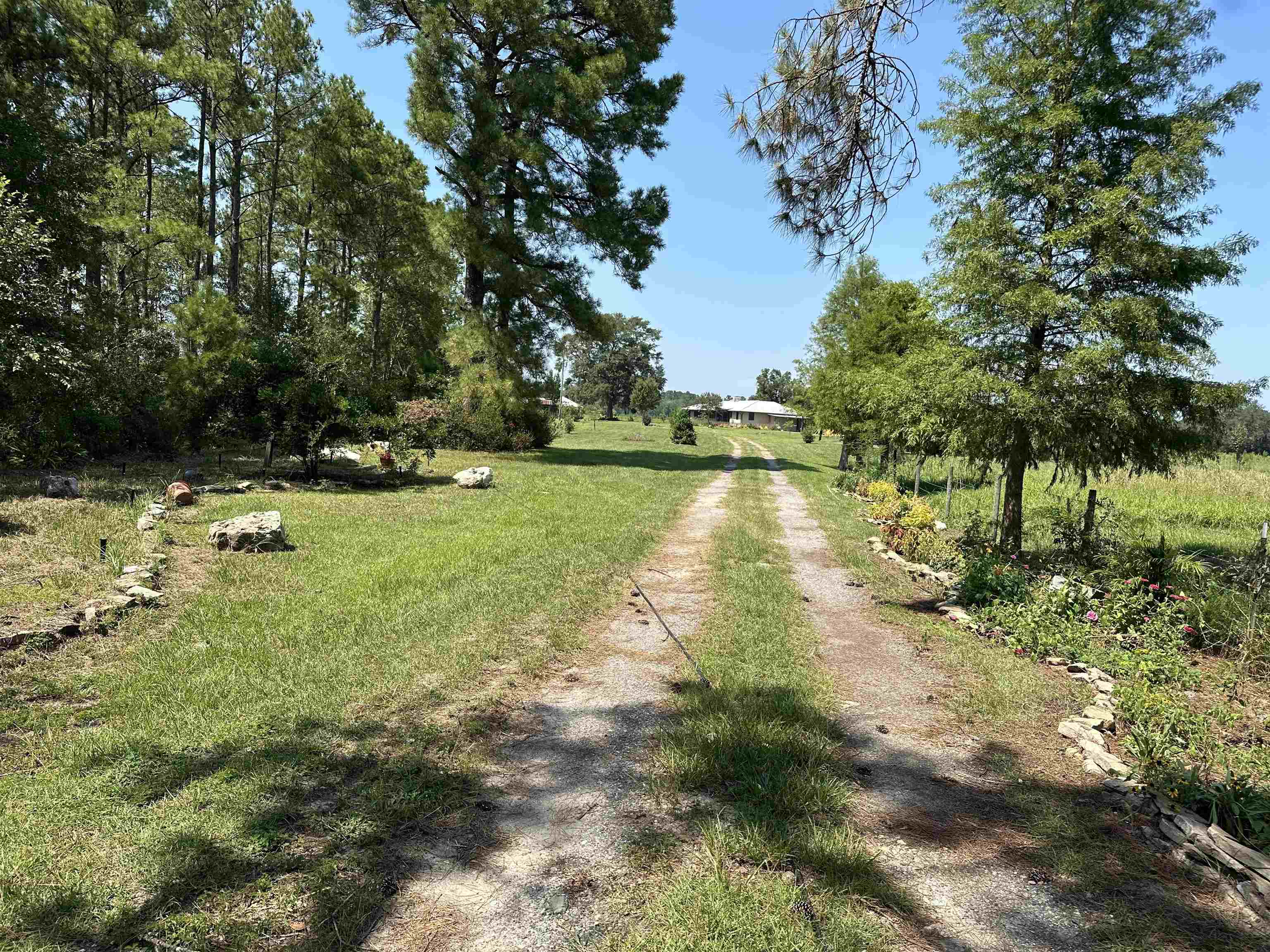 4287 Bassett Dairy Road, MONTICELLO, Florida image 1