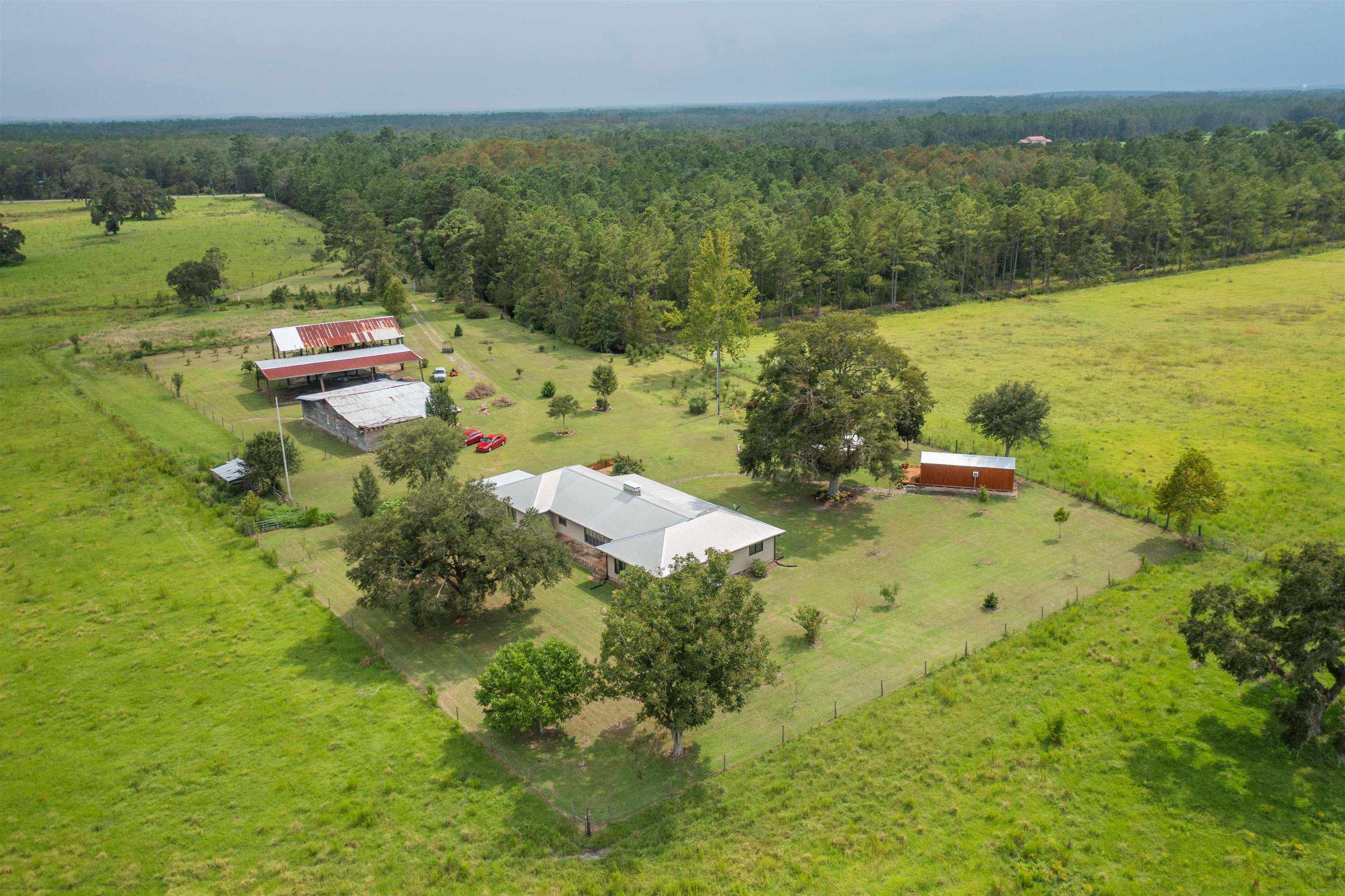 4287 Bassett Dairy Road, MONTICELLO, Florida image 42