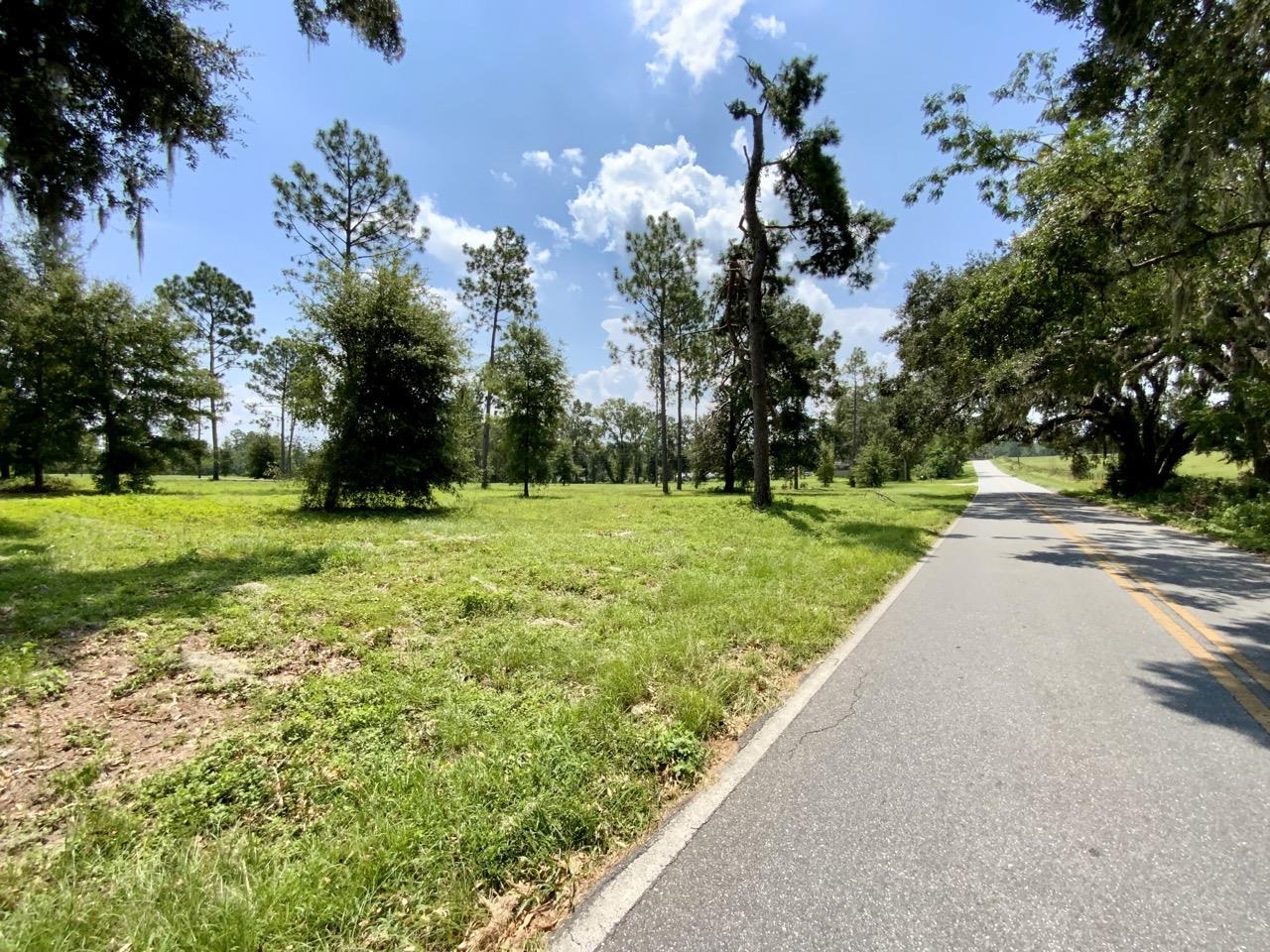 0000 NW Pickle Lane, Madison, Florida image 14