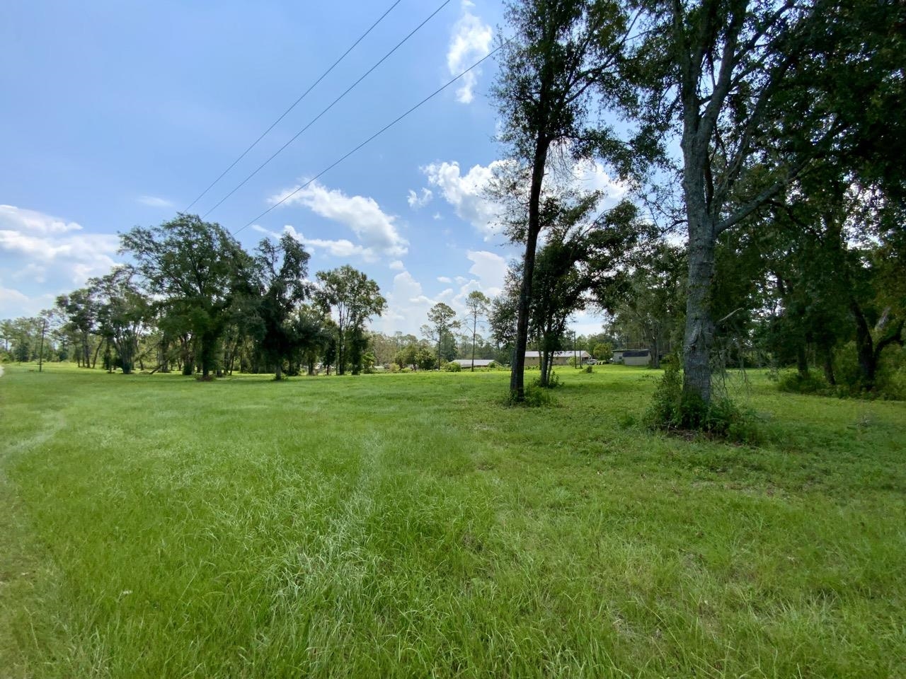 0000 NW Pickle Lane, Madison, Florida image 20