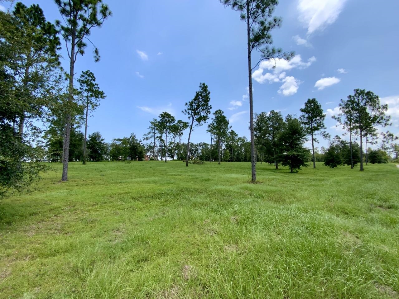 0000 NW Pickle Lane, Madison, Florida image 21