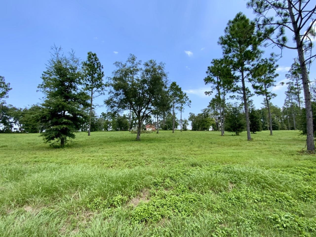 0000 NW Pickle Lane, Madison, Florida image 24