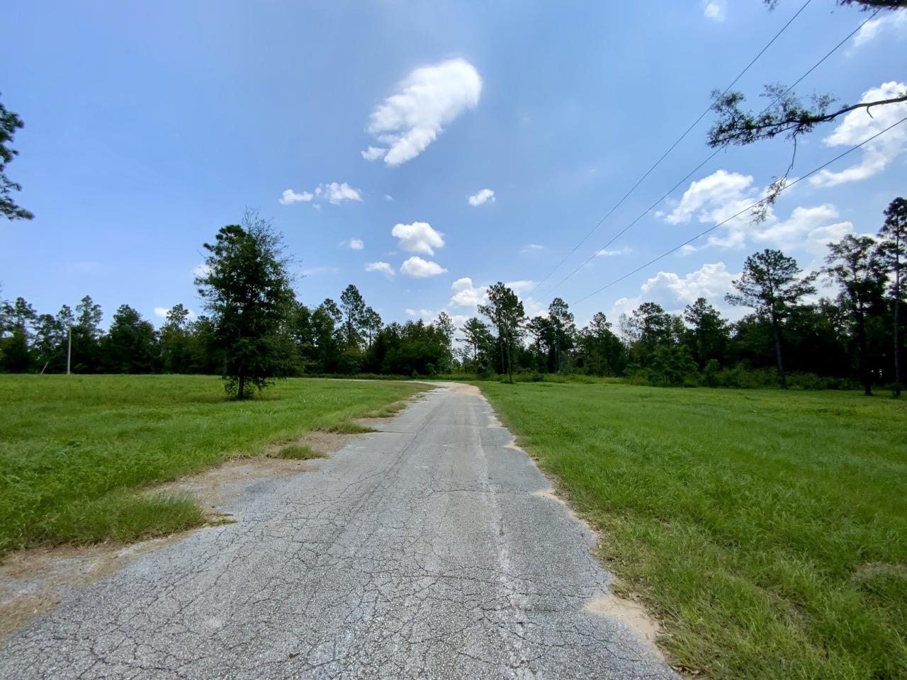 0000 NW Pickle Lane, Madison, Florida image 30