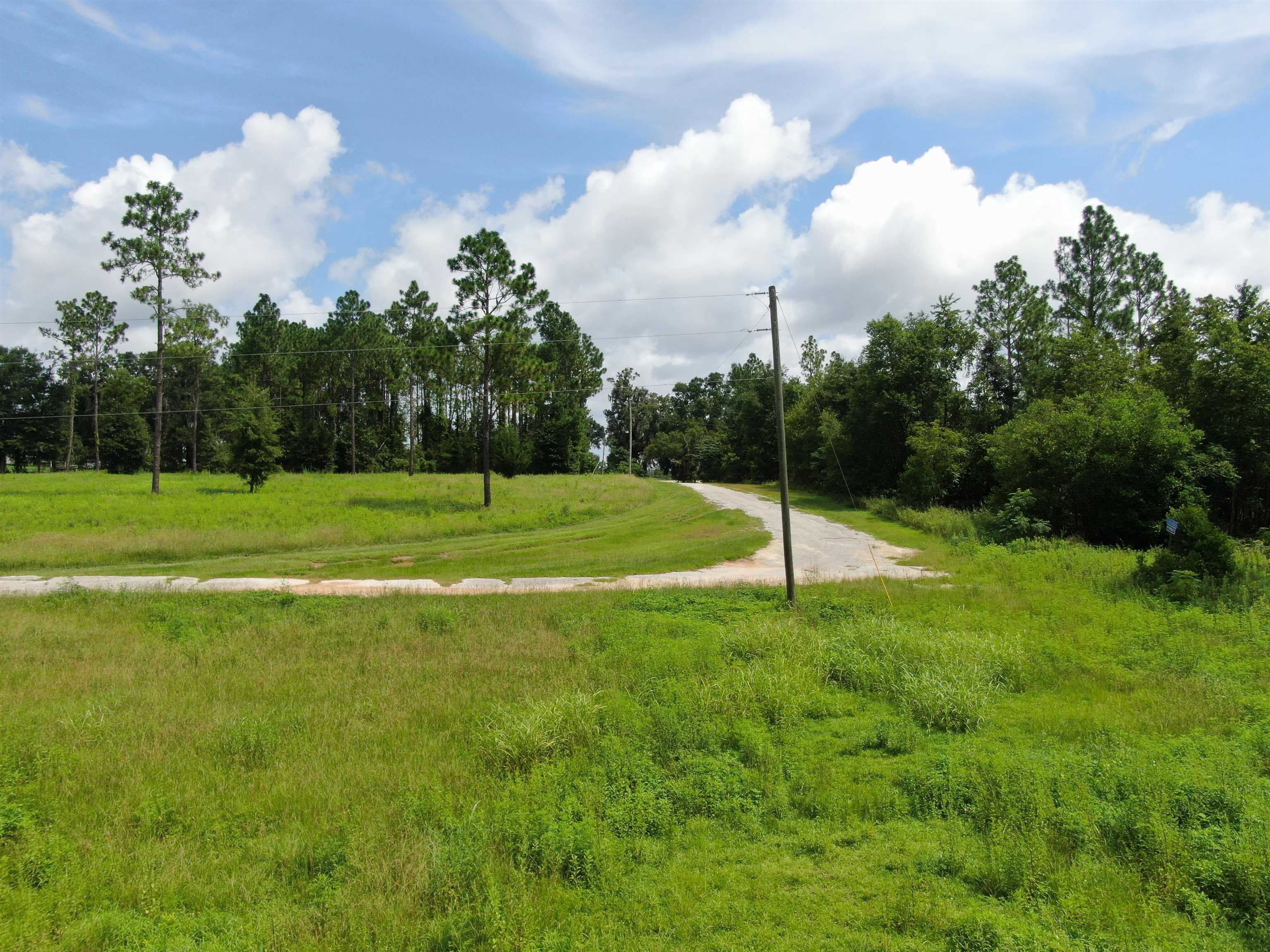 0000 NW Pickle Lane, Madison, Florida image 9