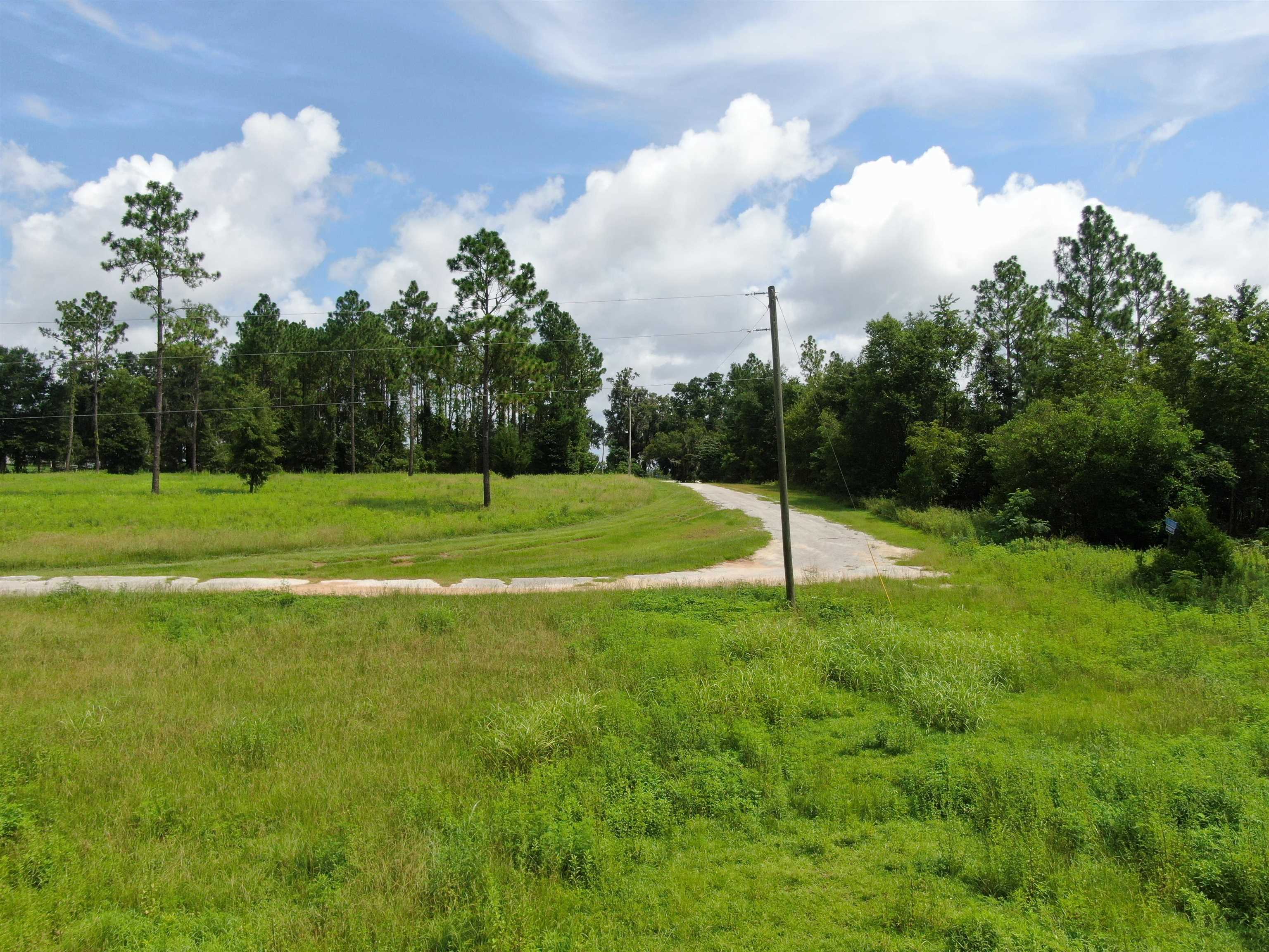 0000 NW Pickle Lane, MADISON, Florida image 9