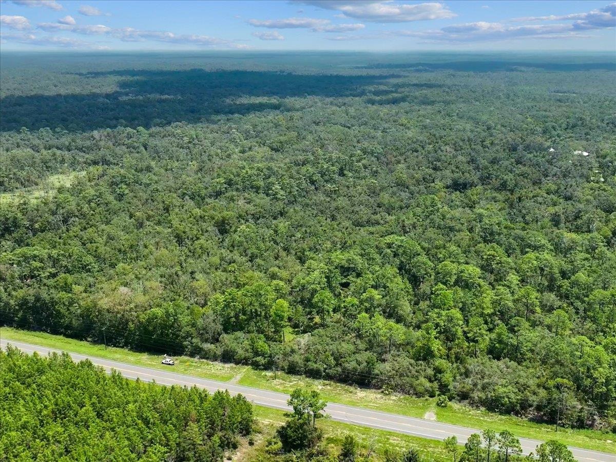 NE Hwy 51, STEINHATCHEE, Florida image 11