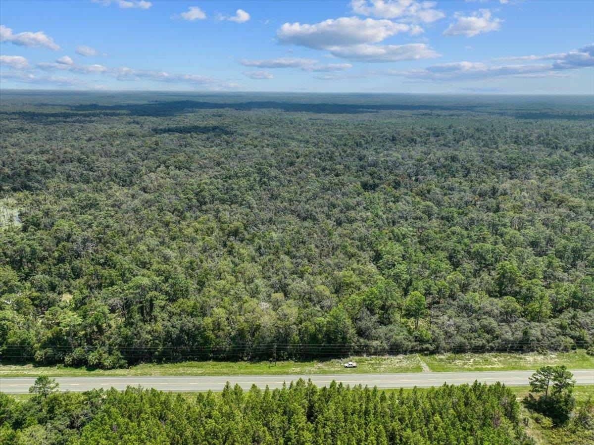 NE Hwy 51, STEINHATCHEE, Florida image 6