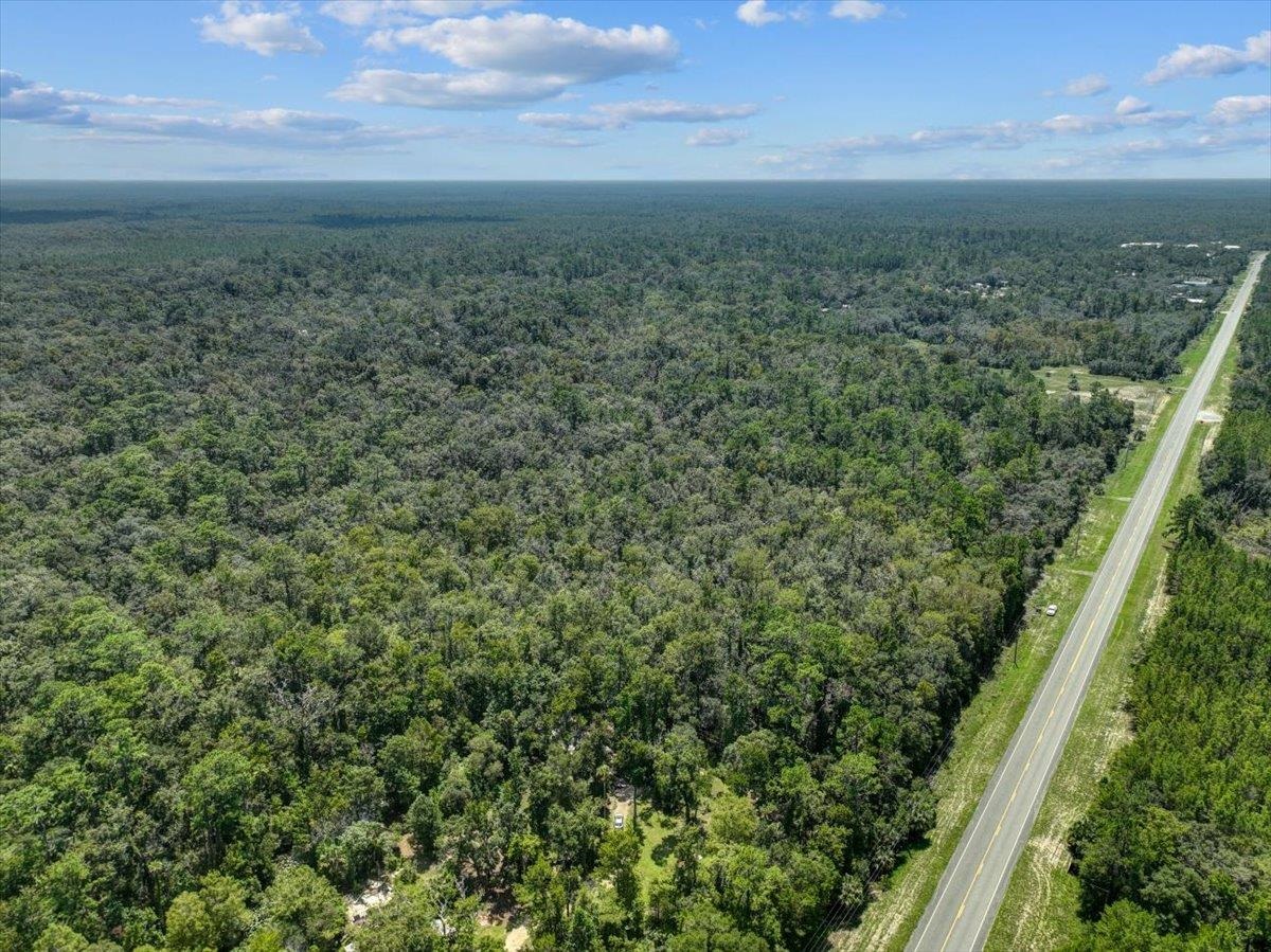 NE Hwy 51, STEINHATCHEE, Florida image 7