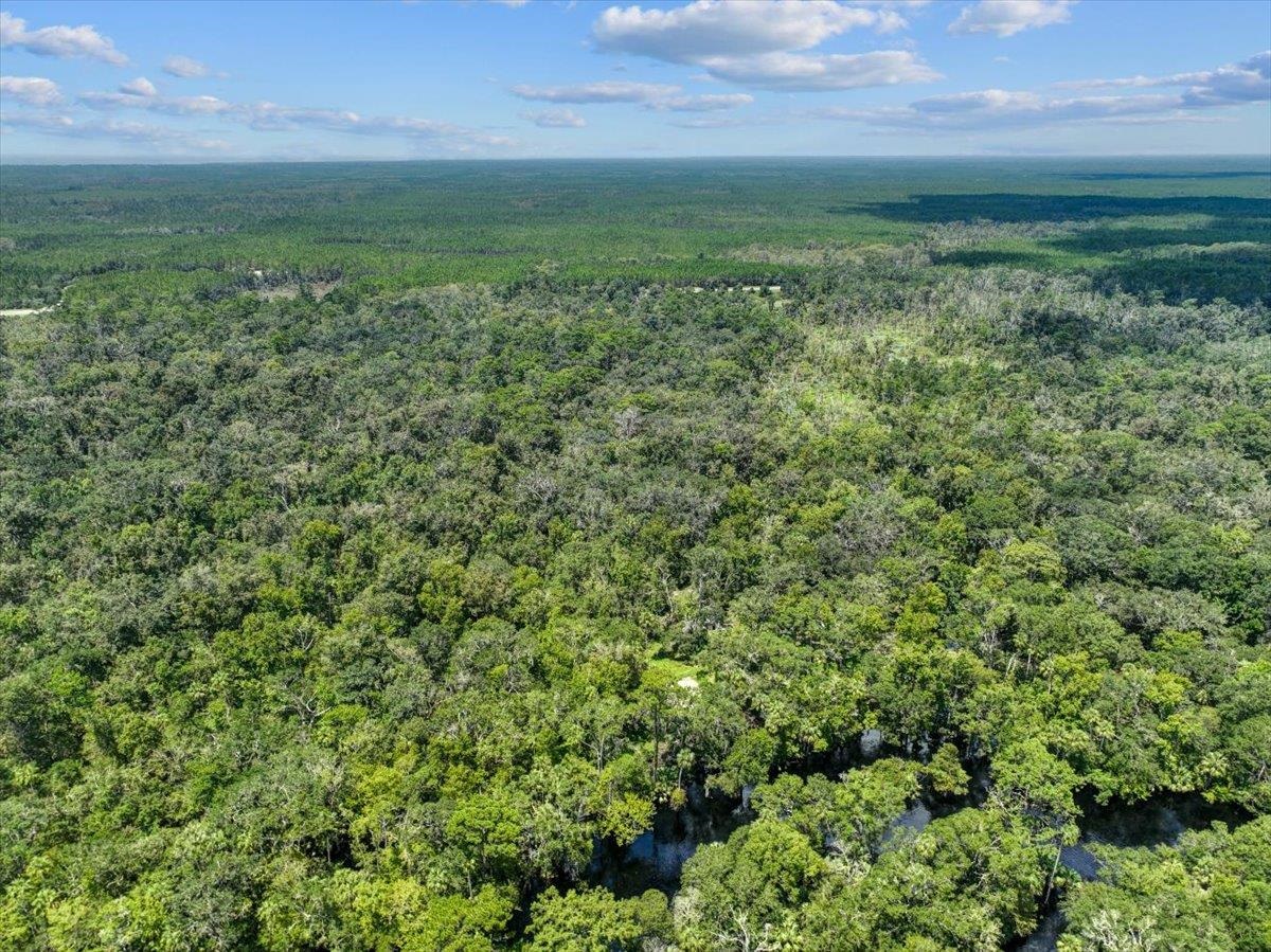 NE Hwy 51, STEINHATCHEE, Florida image 9