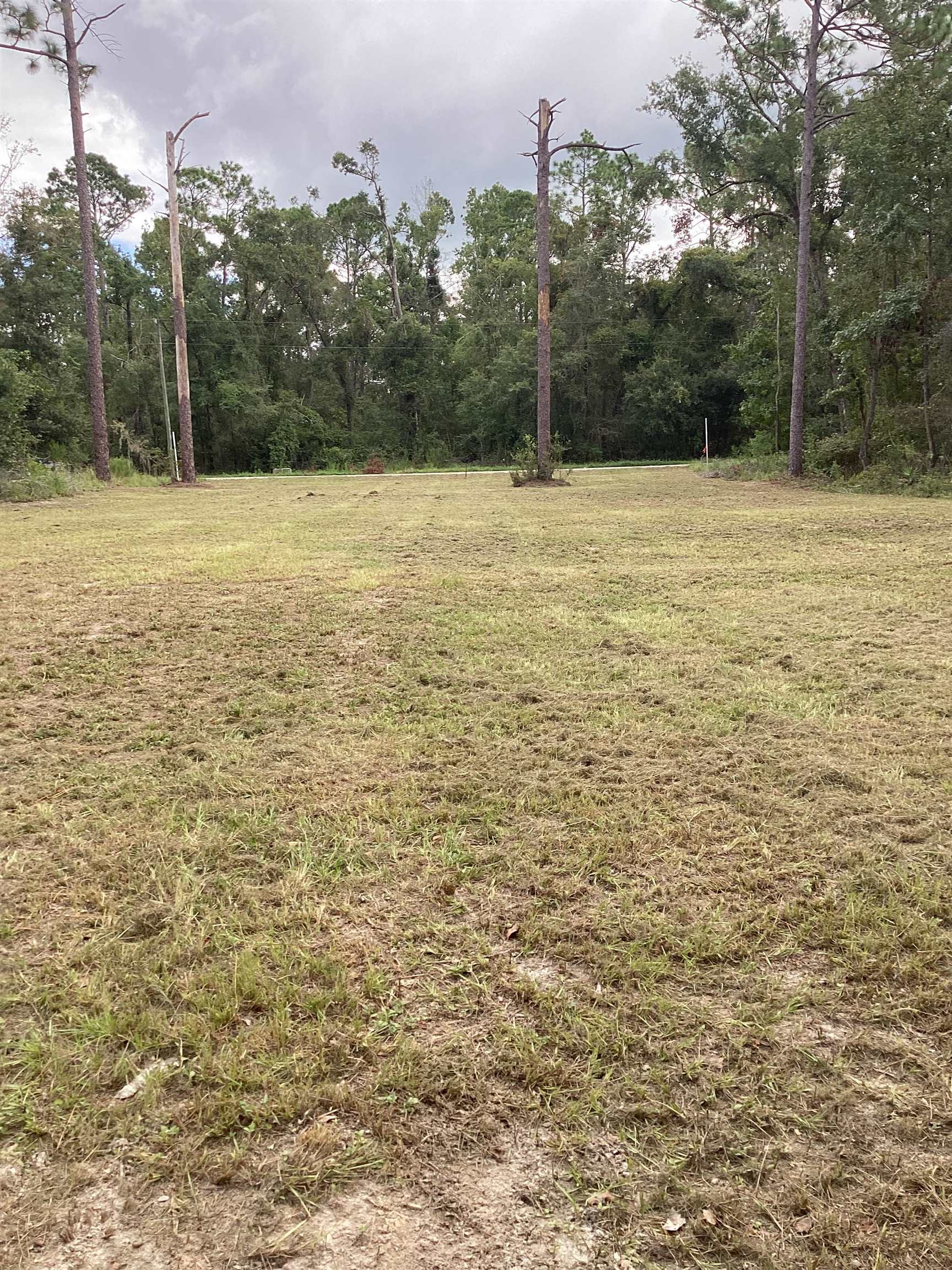 Vacant 205th Court, Live Oak, Florida image 10