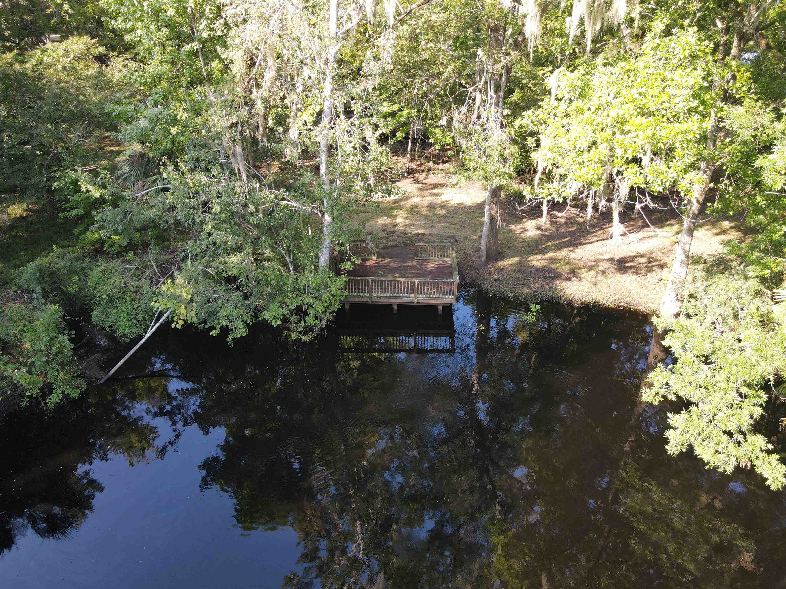 23210 Nutall Rise Road, LAMONT, Florida image 13