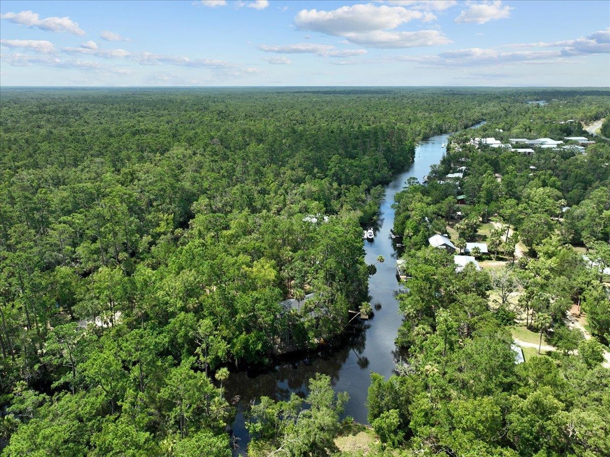 1334 Jr. Howell Road, STEINHATCHEE, Florida image 30