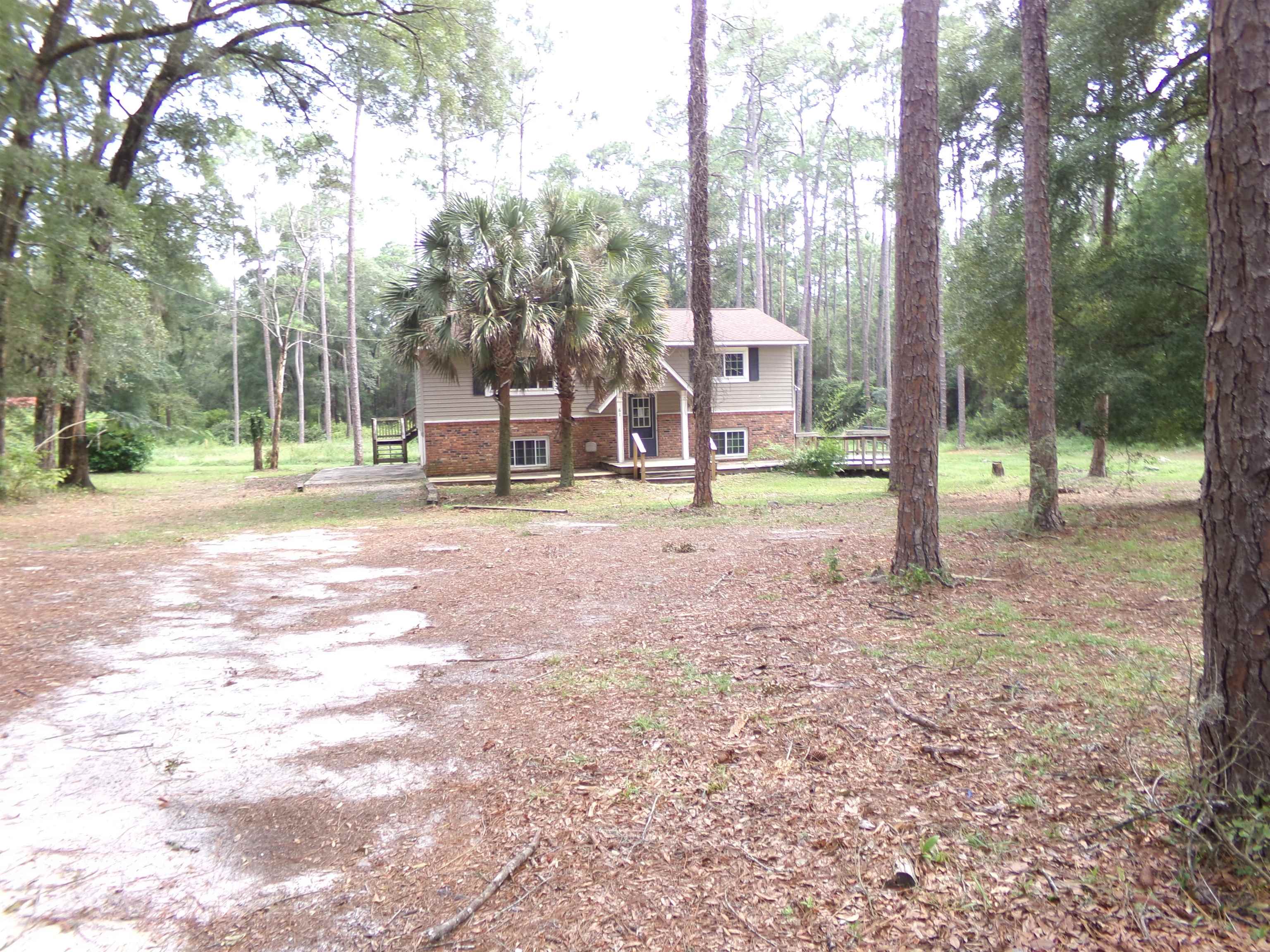 61 Rock Hole Road, Crawfordville, Florida image 2