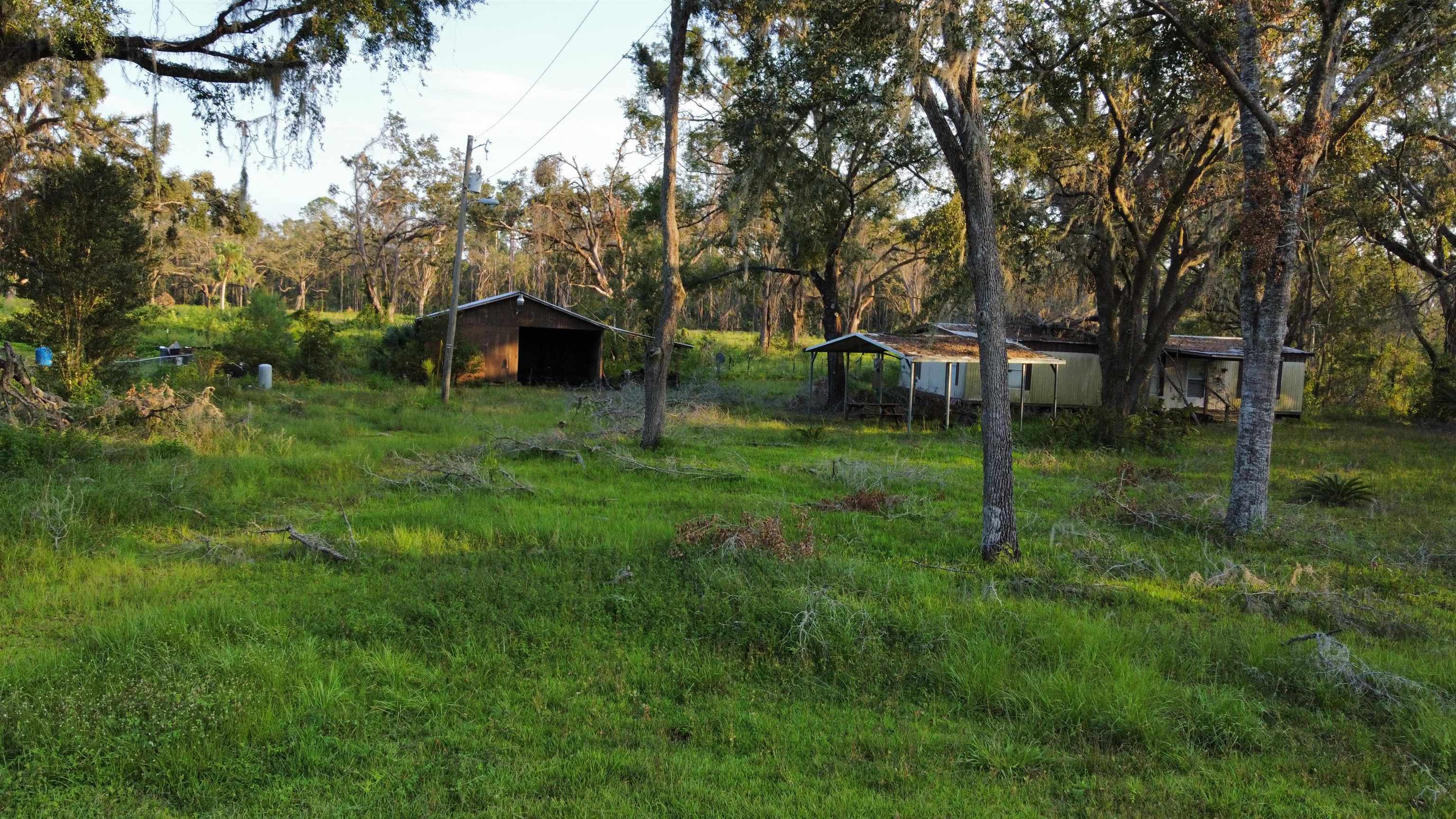 389 Leon Ward Road, PERRY, Florida image 4