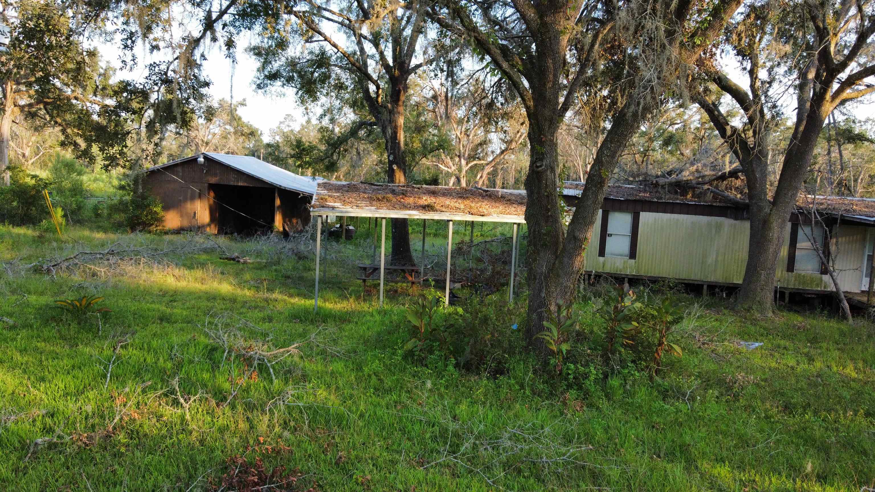 389 Leon Ward Road, PERRY, Florida image 5