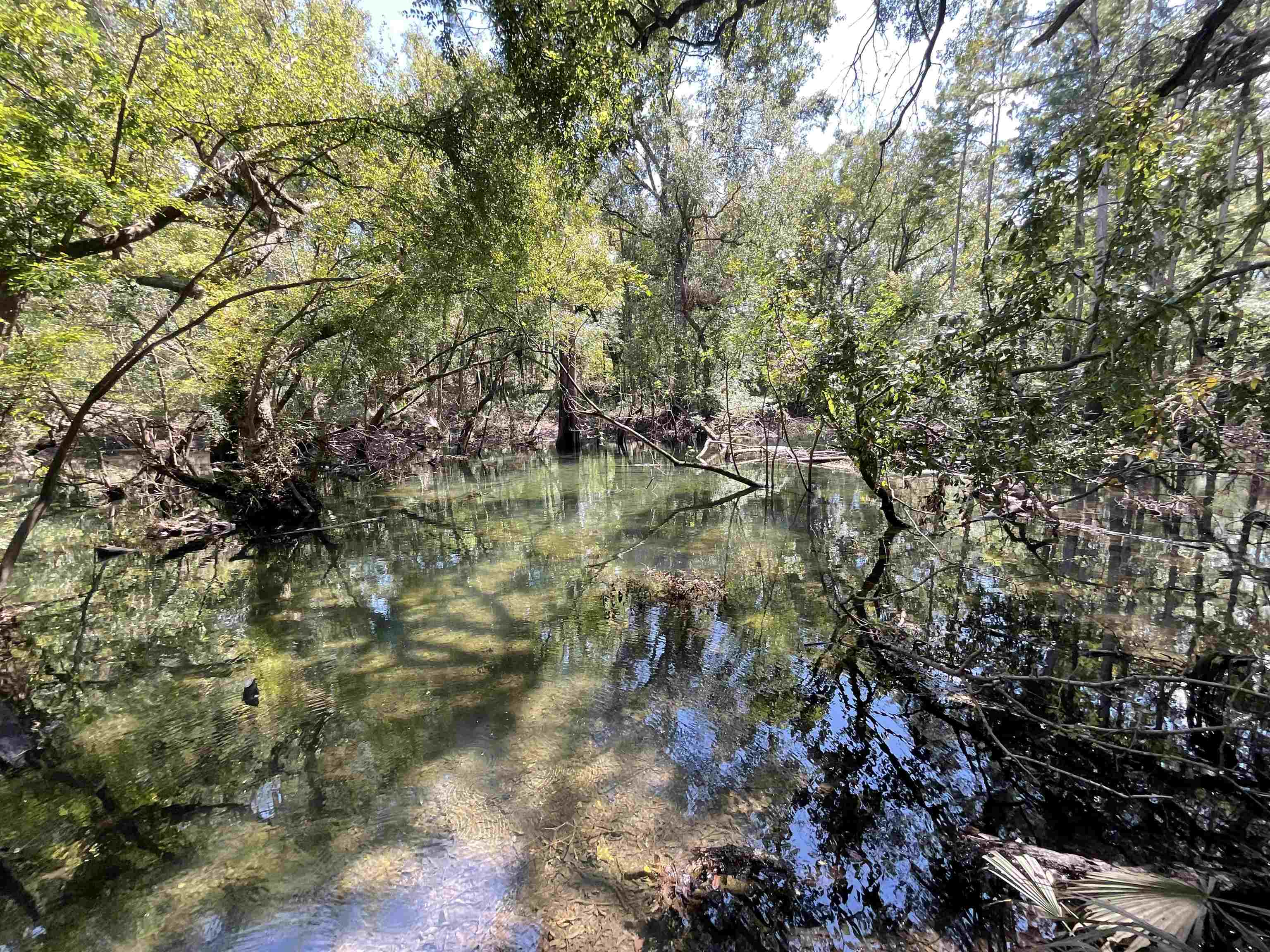 Vacant NE Edgewater Circle, LEE, Florida image 6