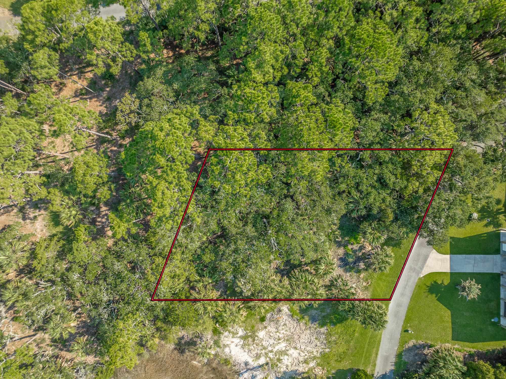 85 Southside Drive, Crawfordville, Florida image 5
