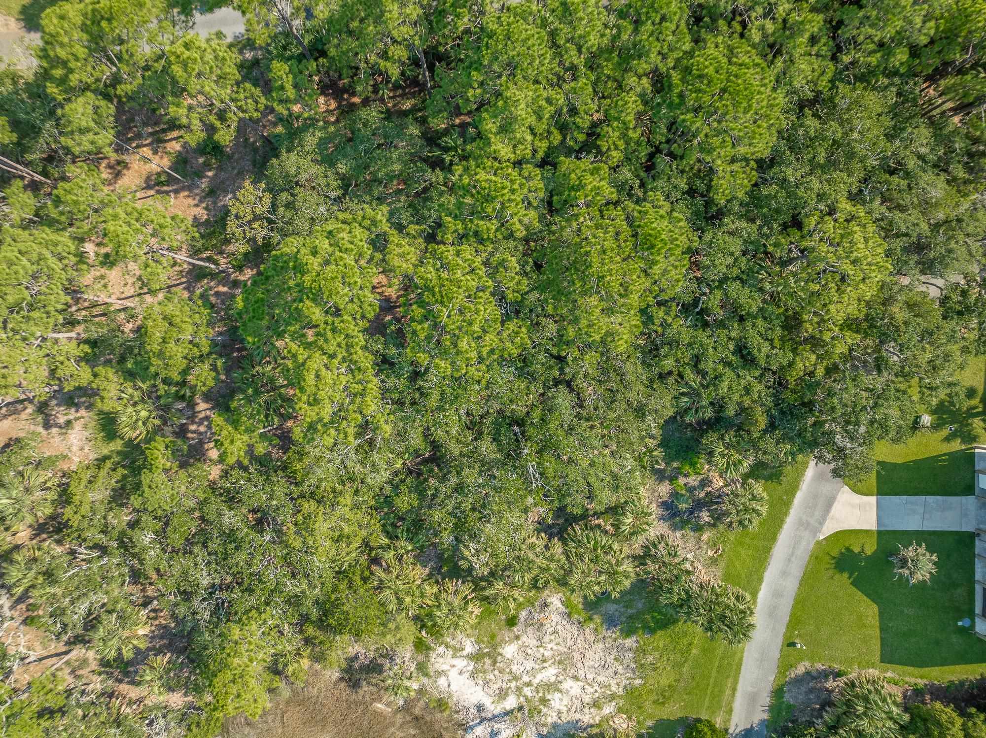 85 Southside Drive, Crawfordville, Florida image 8
