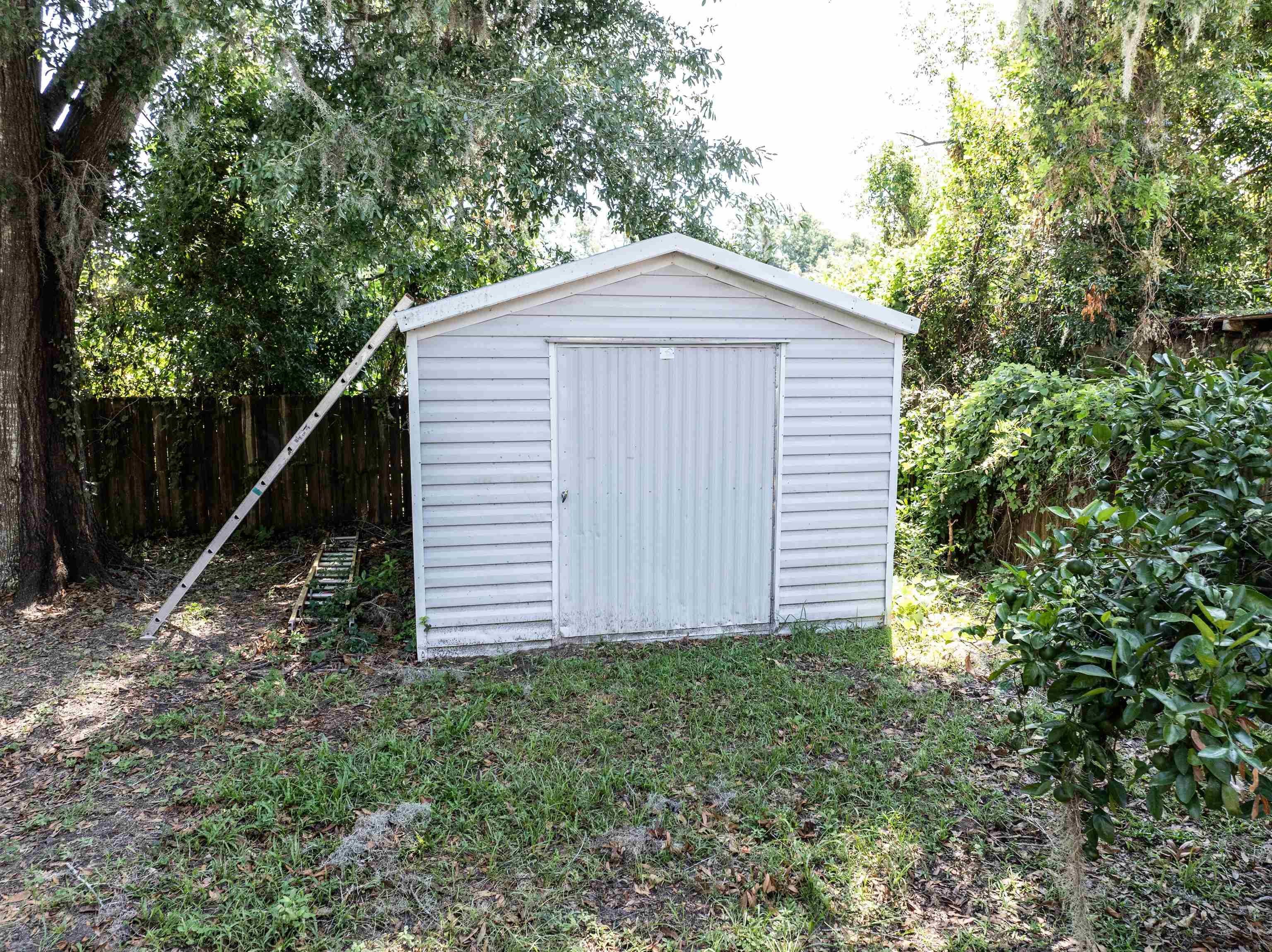 403 SW Horry Avenue, Madison, Florida image 32