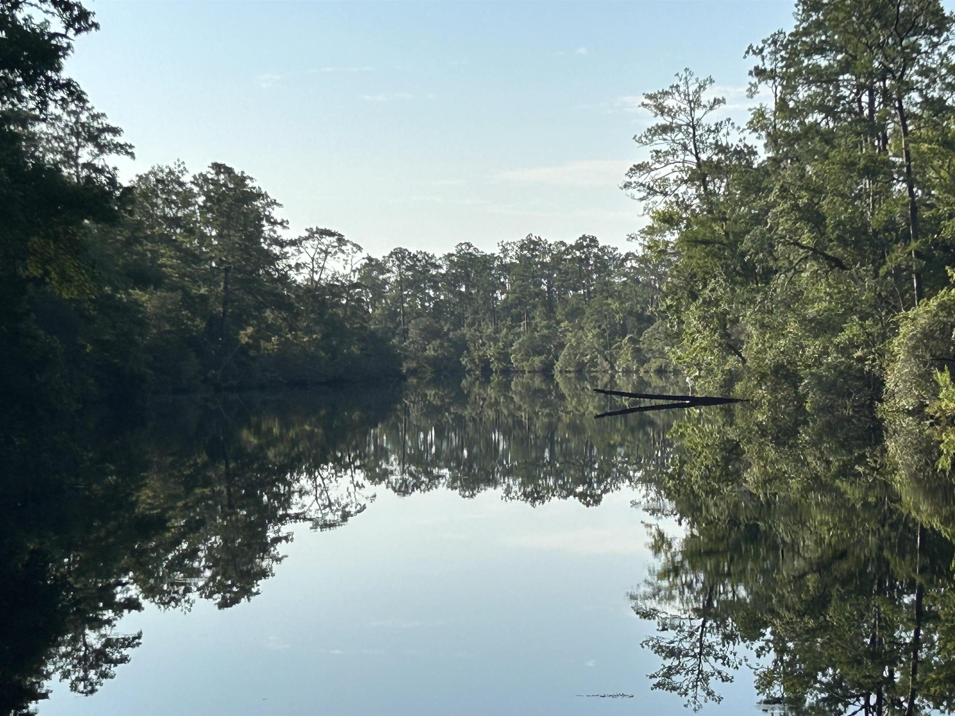 11 Green Road, Sopchoppy, Florida image 1