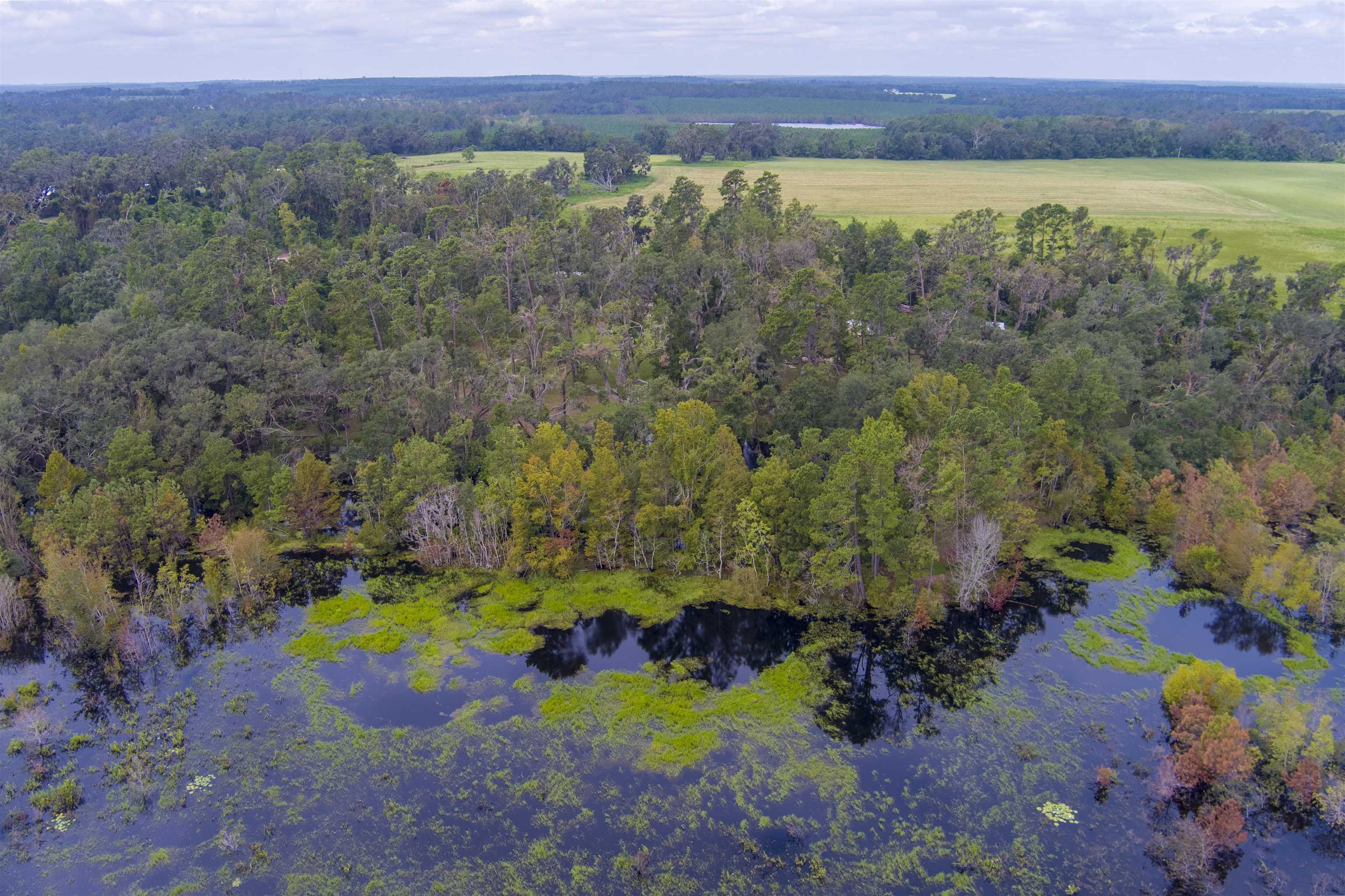 2139 SW Cr 360a, Madison, Florida image 8