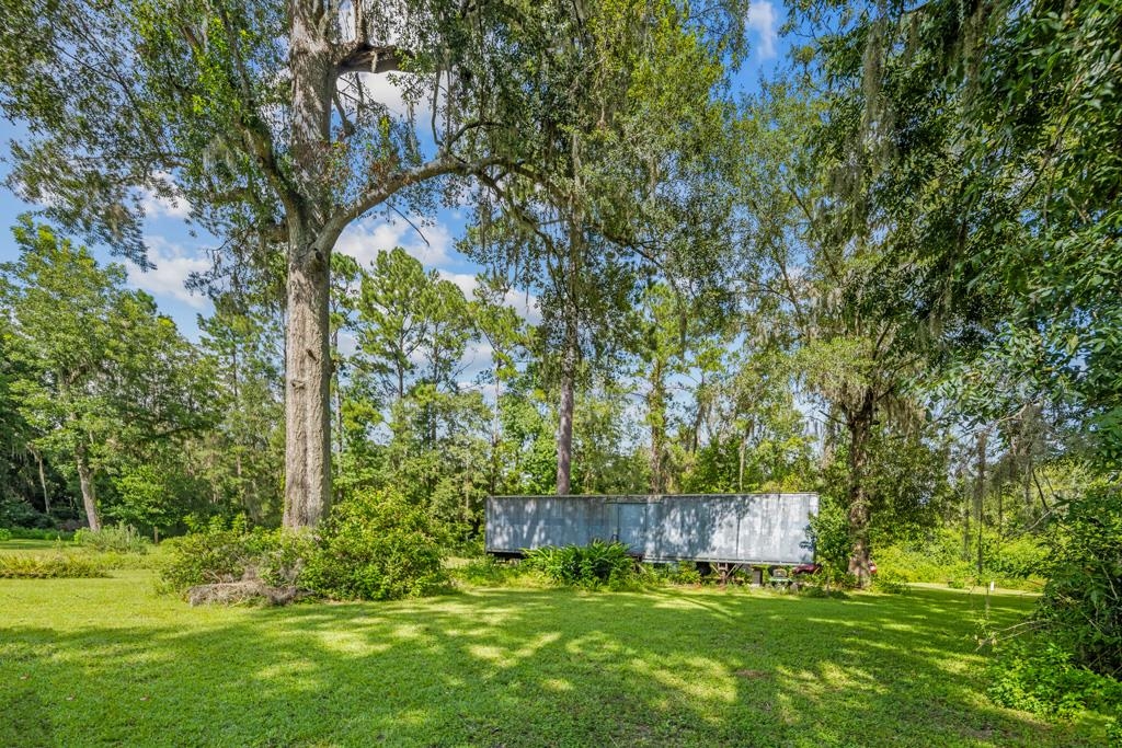 336 Lake, Monticello, Florida image 8