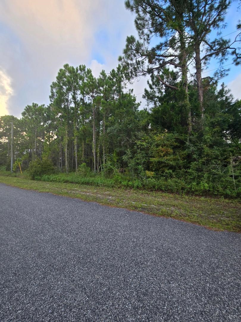 Lot 15 Skyhawk Lane, PANACEA, Florida image 2