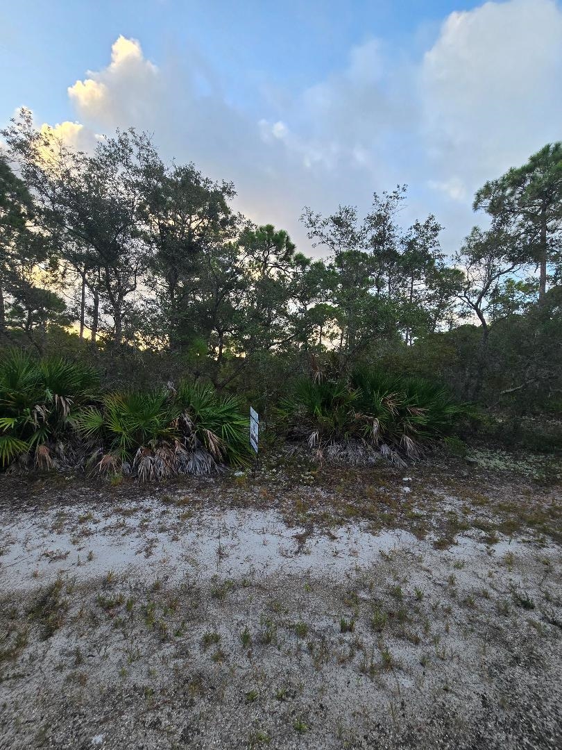 Lot 15 Skyhawk Lane, PANACEA, Florida image 4