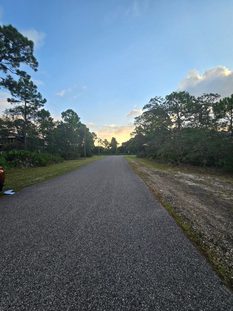 Lot 15 Skyhawk Lane, PANACEA, Florida image 6