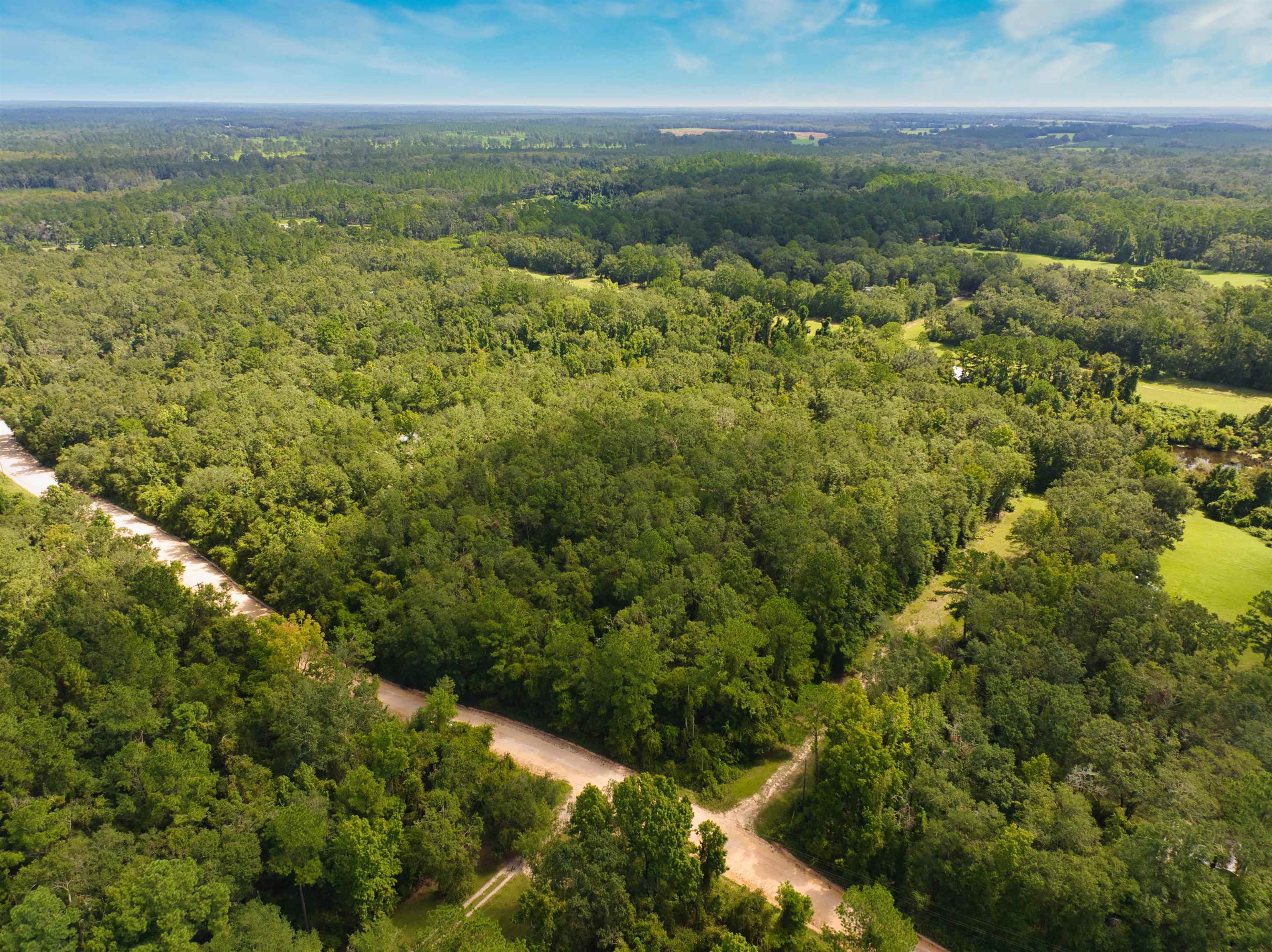 Deerwood Boulevard, Greenville, Florida image 4