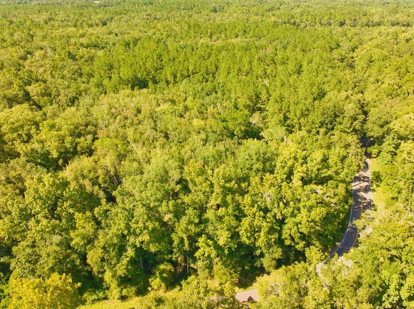 Capitola Road, Tallahassee, Florida image 8