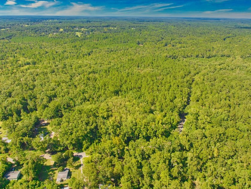 Capitola Road, Tallahassee, Florida image 9