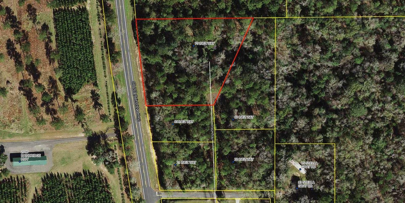 75 Inez Way, Quincy, Florida image 1