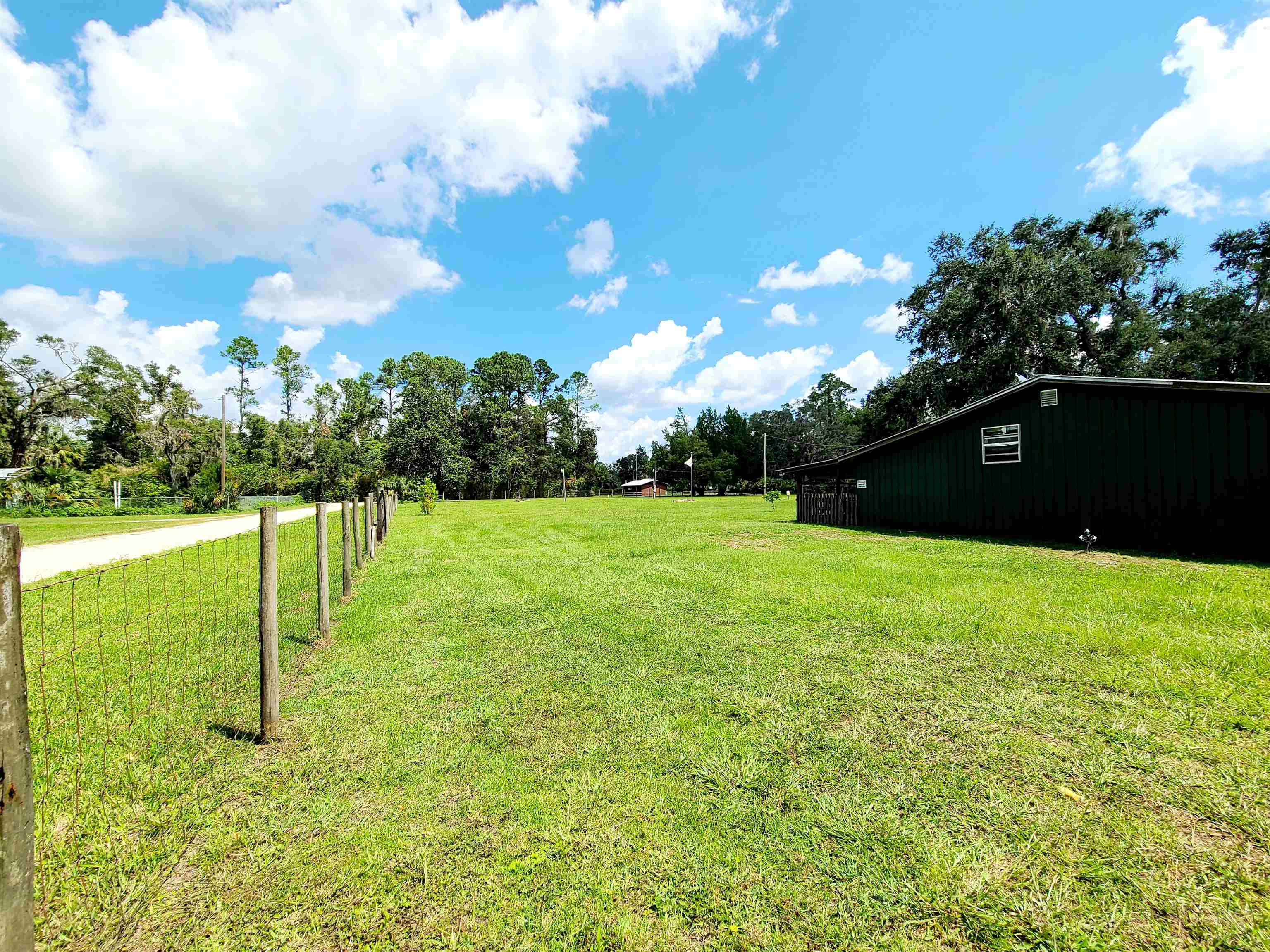 446 SE 242nd Street, CROSS CITY, Florida image 8