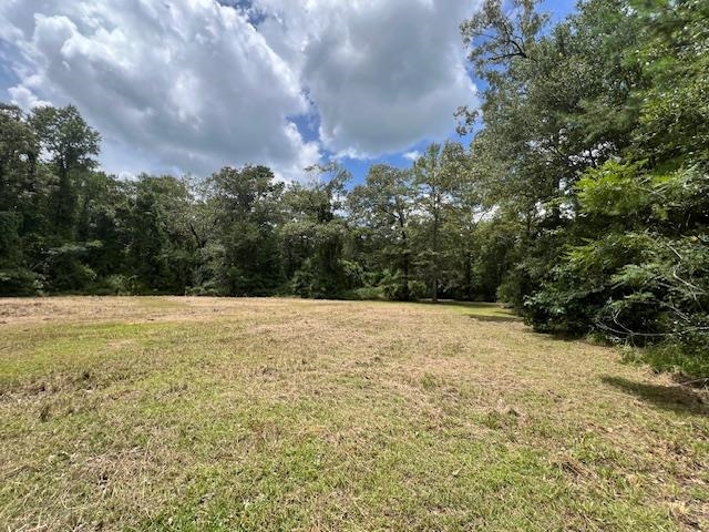 258 W J Hatchett Road, LAMONT, Florida image 1