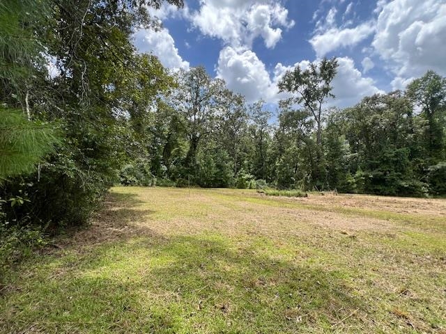 258 W J Hatchett Road, LAMONT, Florida image 10