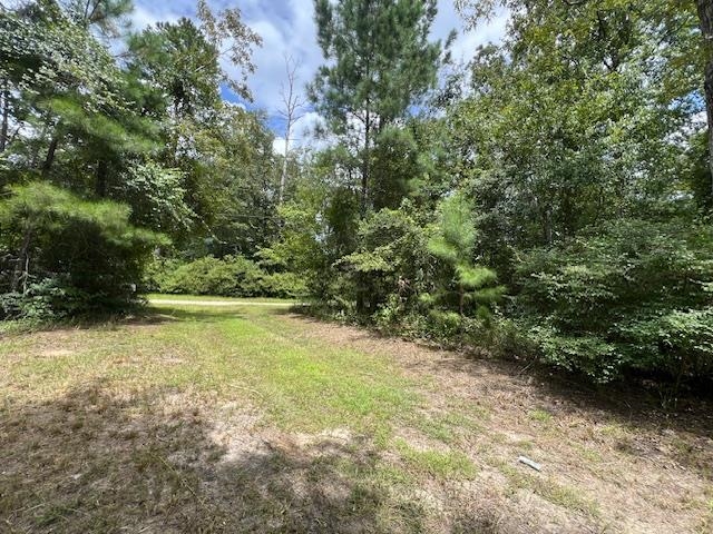 258 W J Hatchett Road, LAMONT, Florida image 11