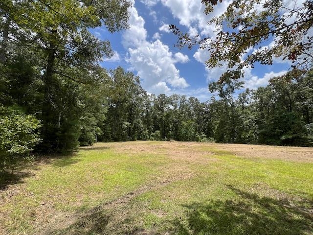 258 W J Hatchett Road, LAMONT, Florida image 12