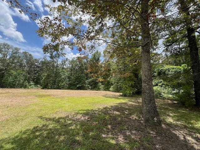 258 W J Hatchett Road, LAMONT, Florida image 13